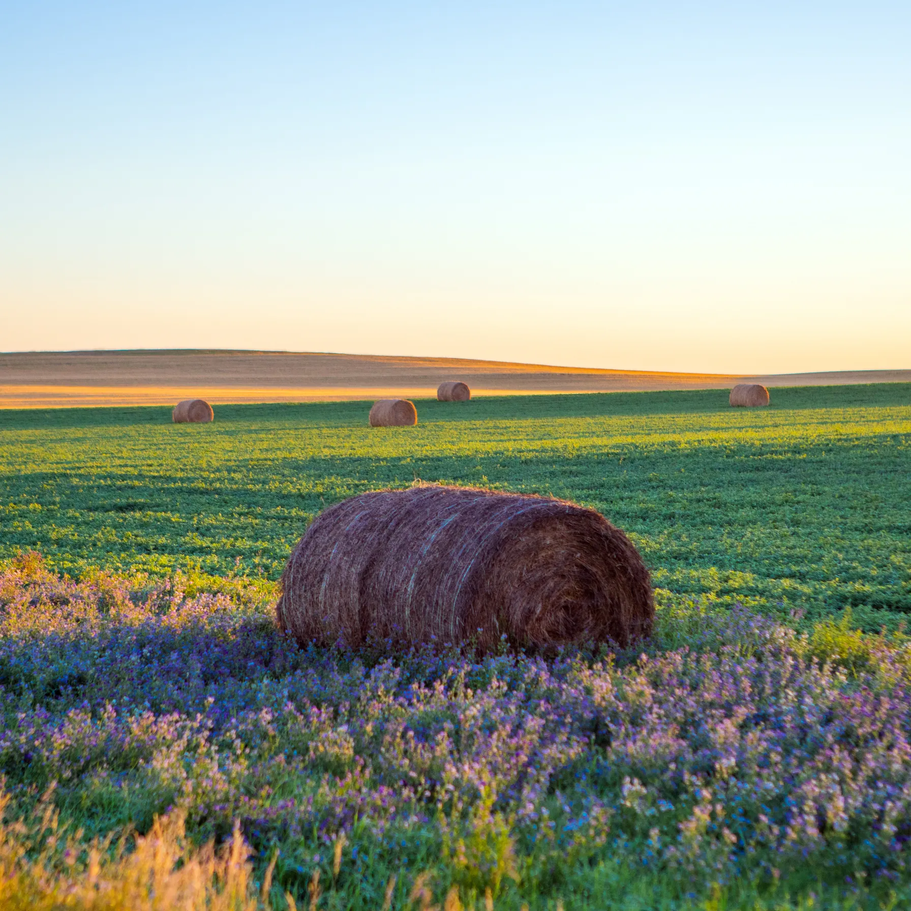 imageGreat Plains