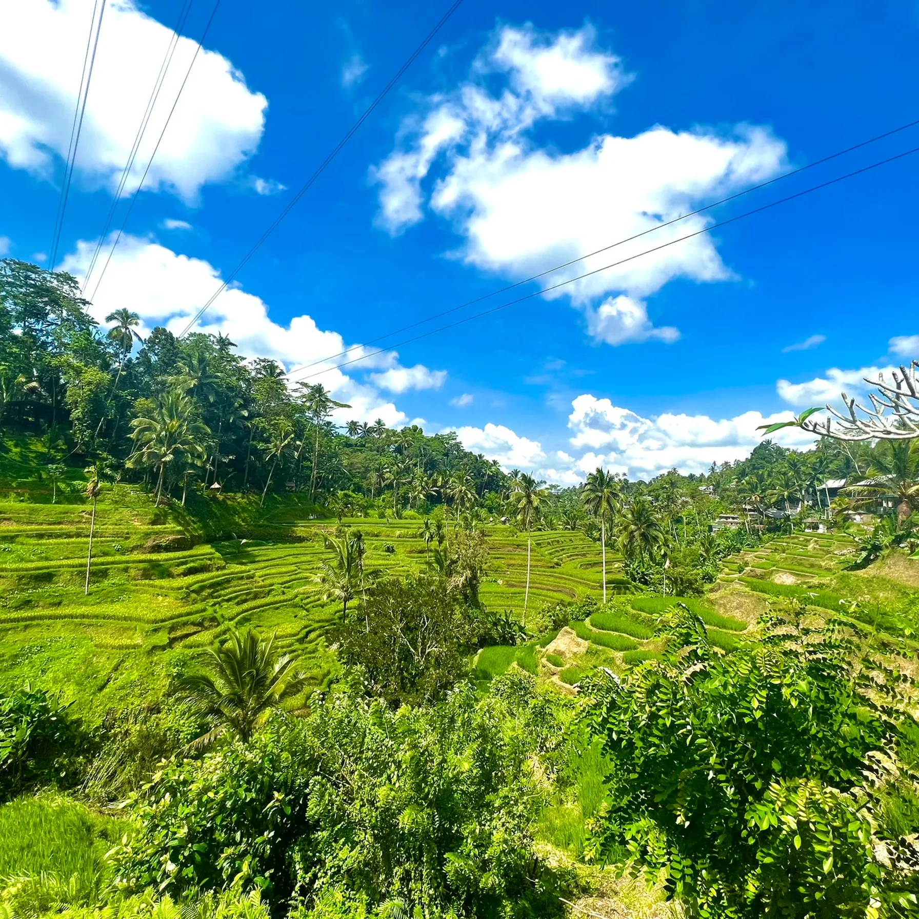 Bali Authentique : Incontournables & Trésors CachésIndonésie