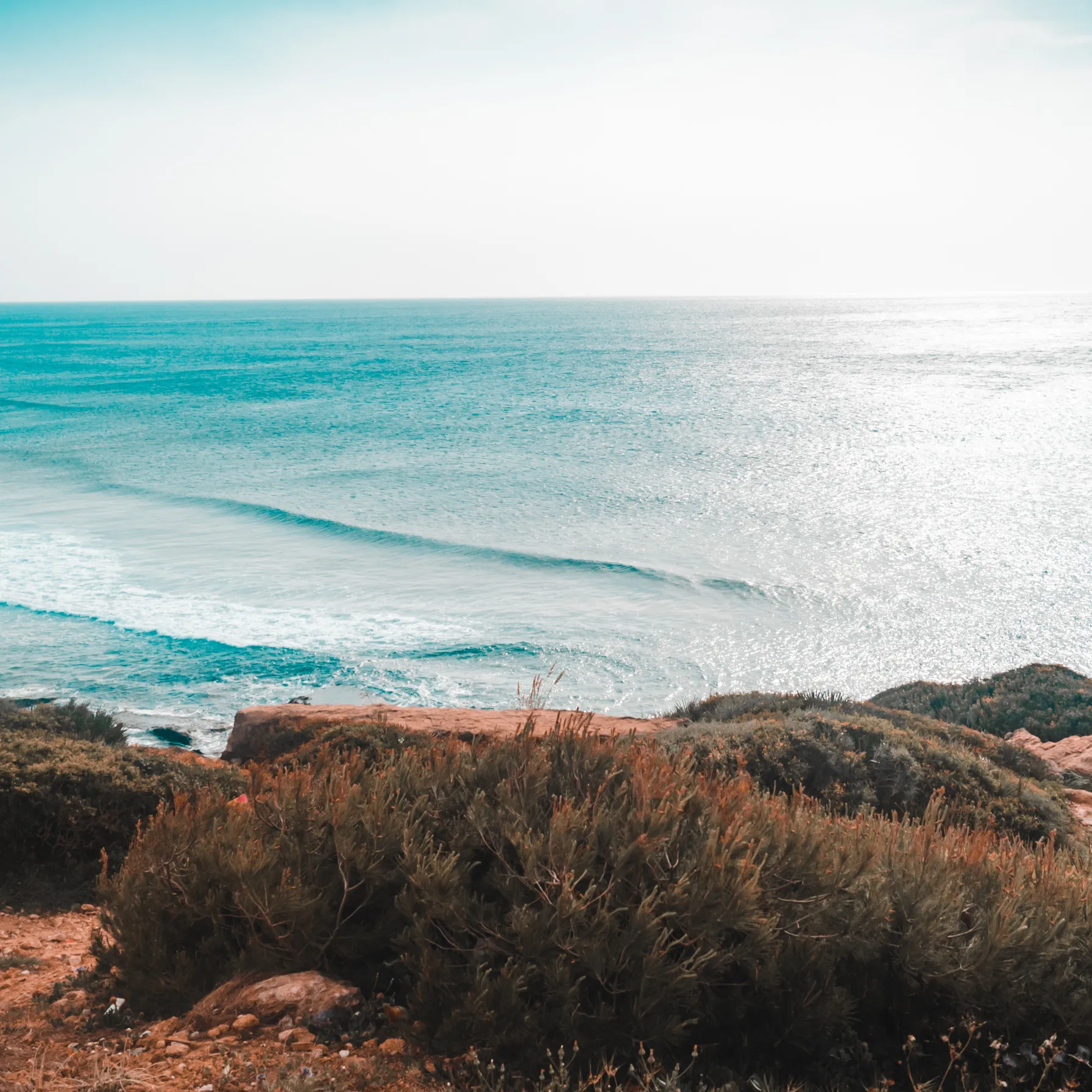 imageMediterranean shore
