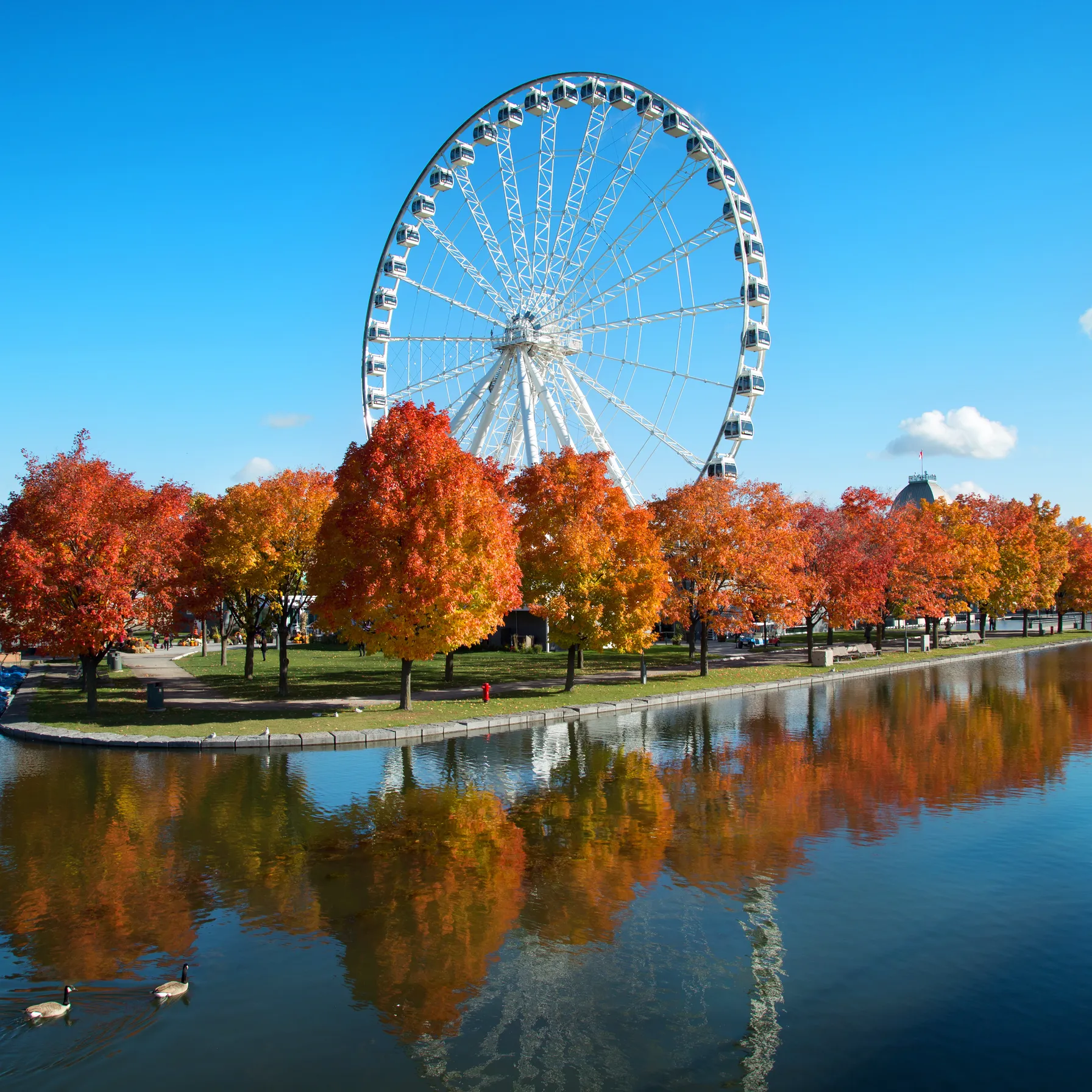 imageMontreal