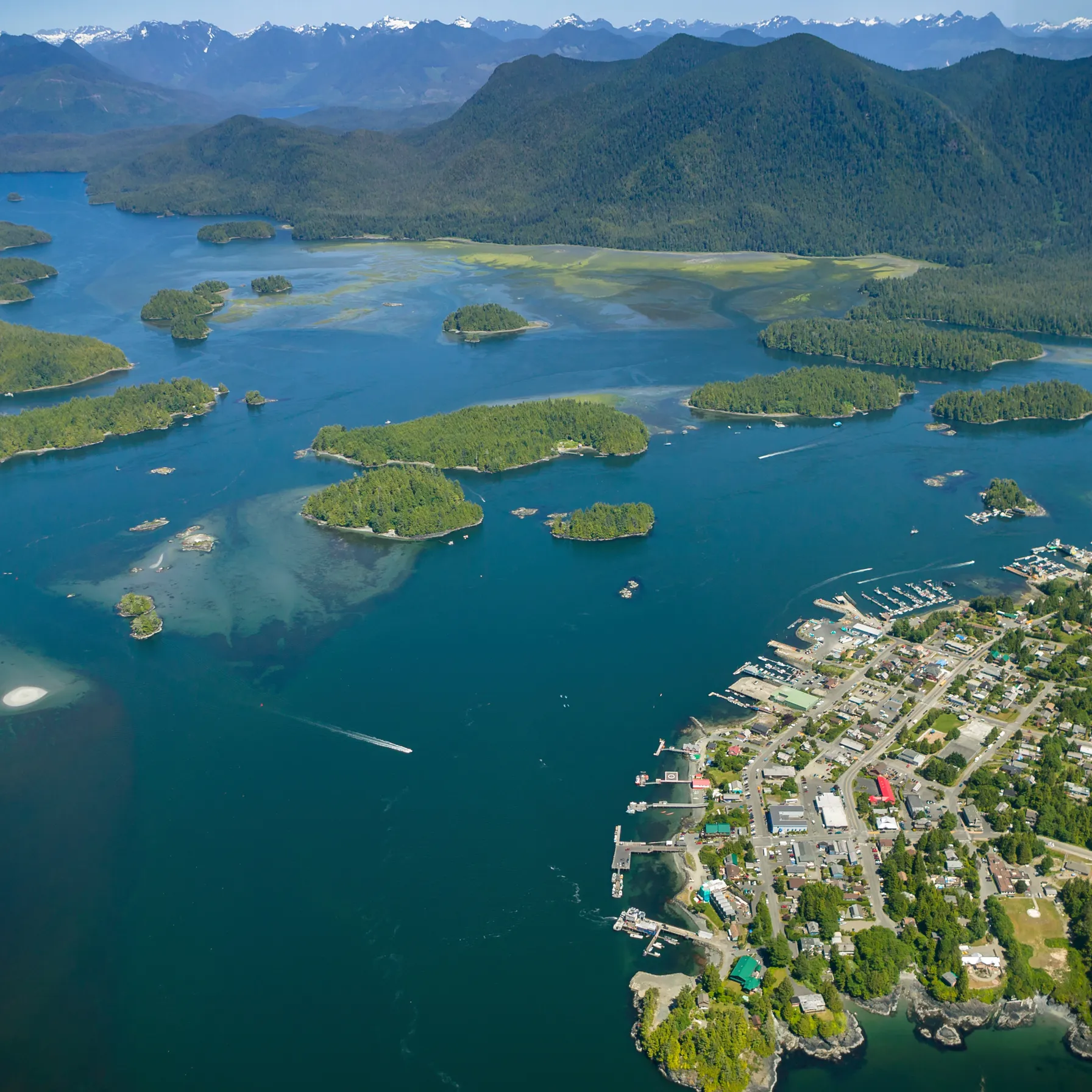 imageTofino