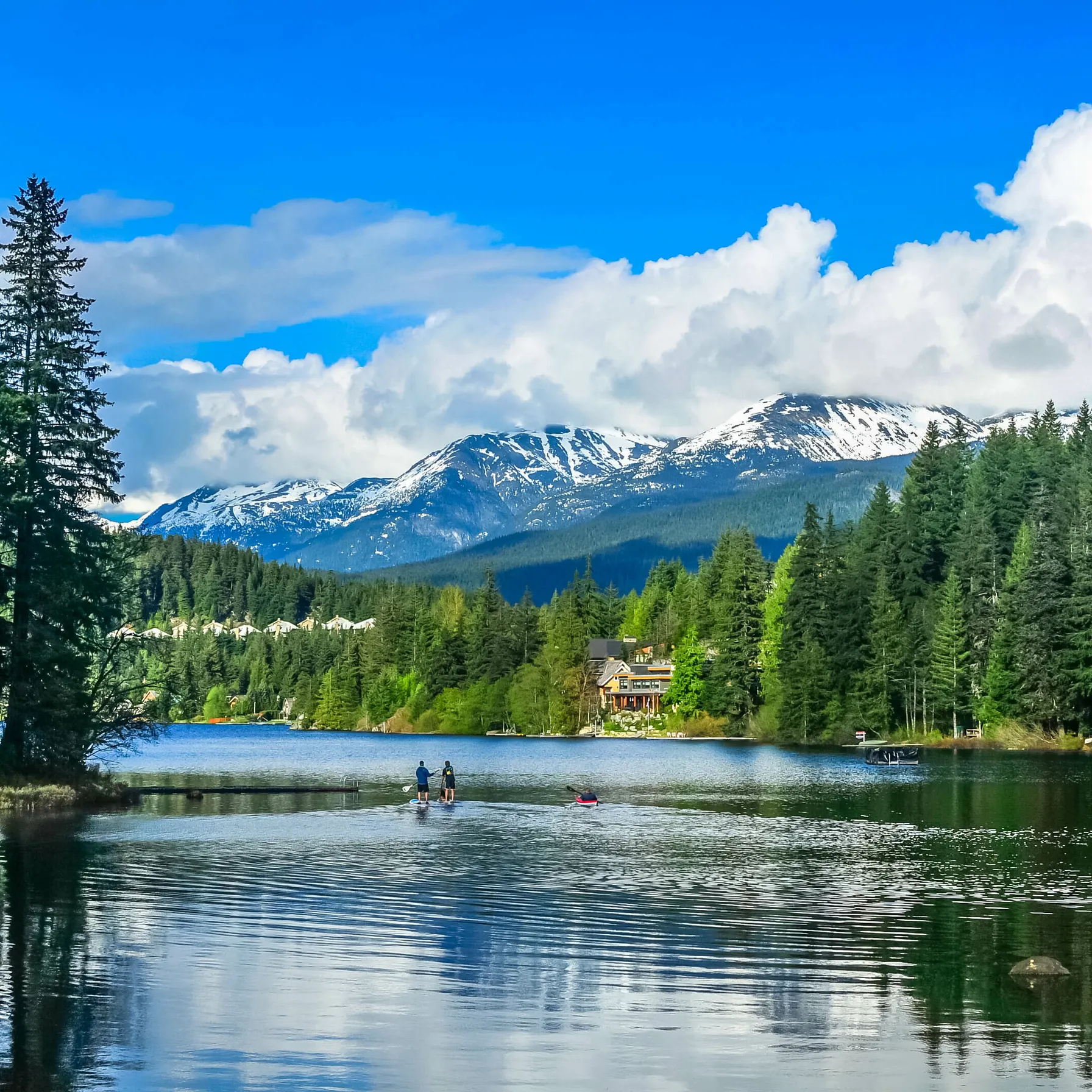 imageWhistler