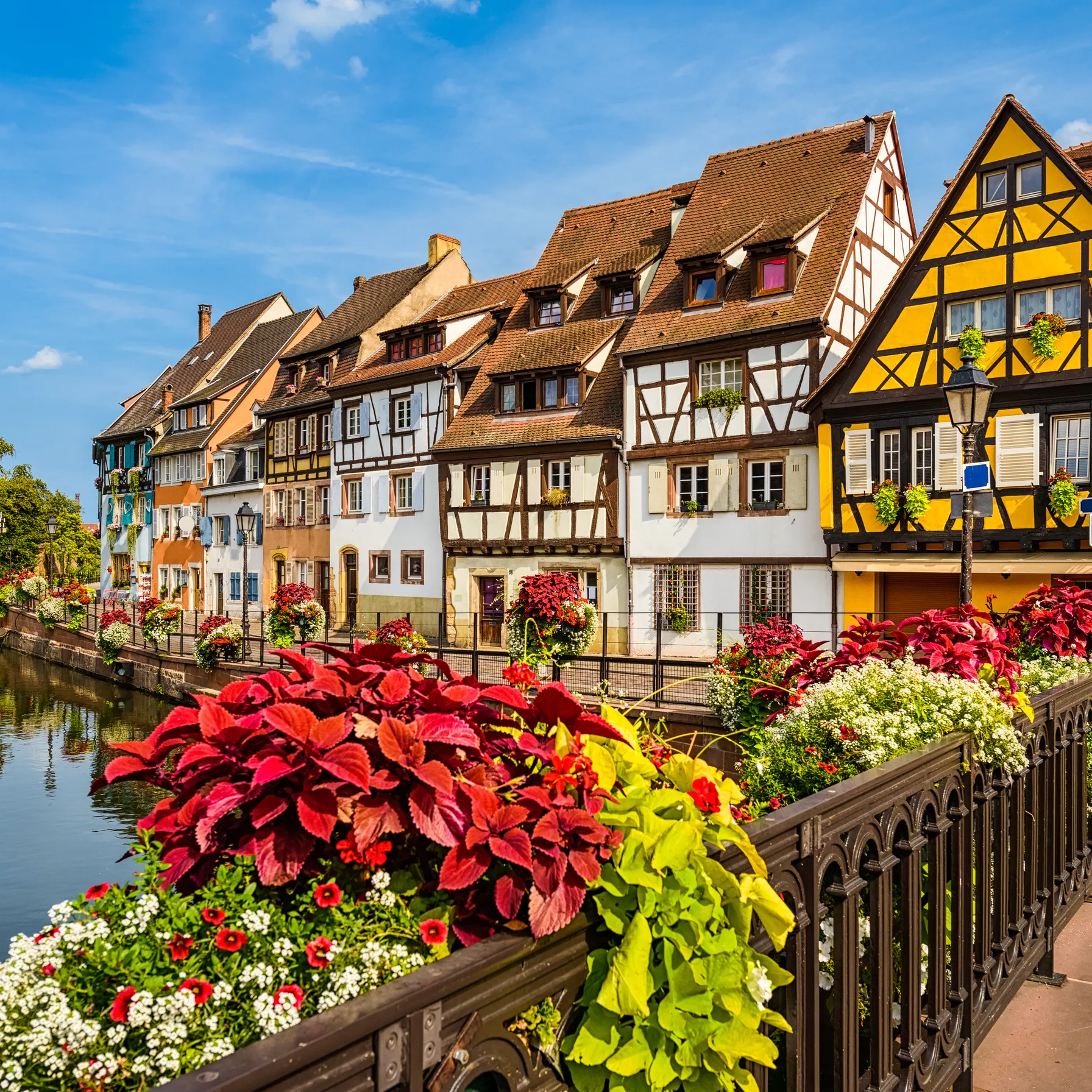 imageColmar