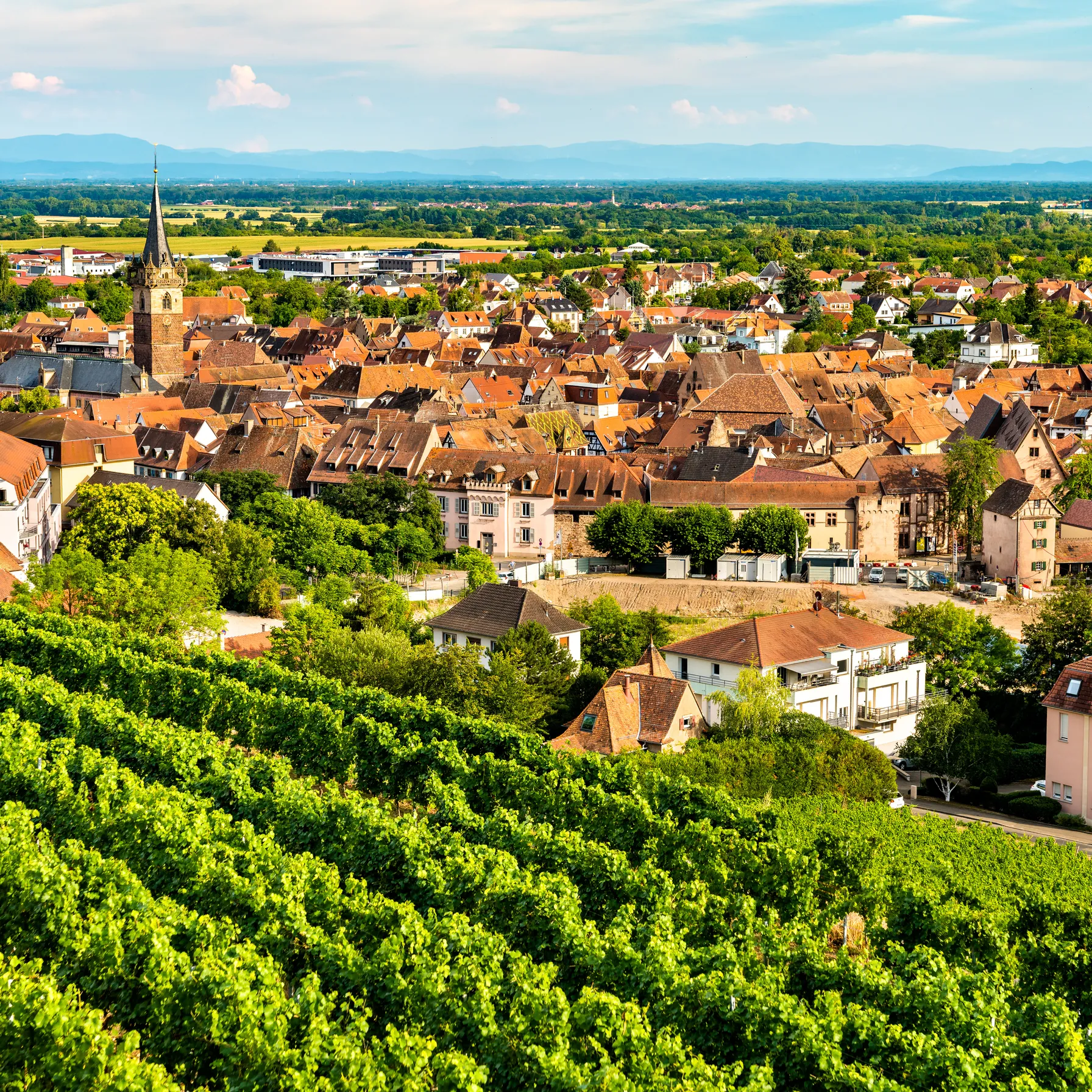 imageAlsace and Lorraine