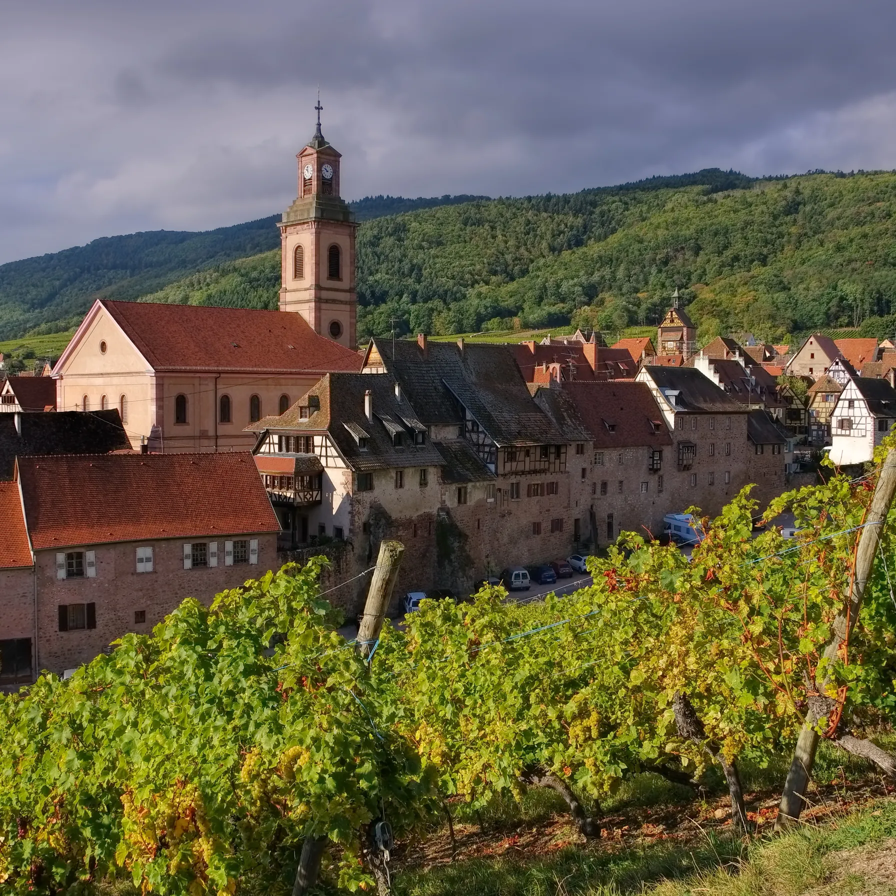 imageRiquewihr
