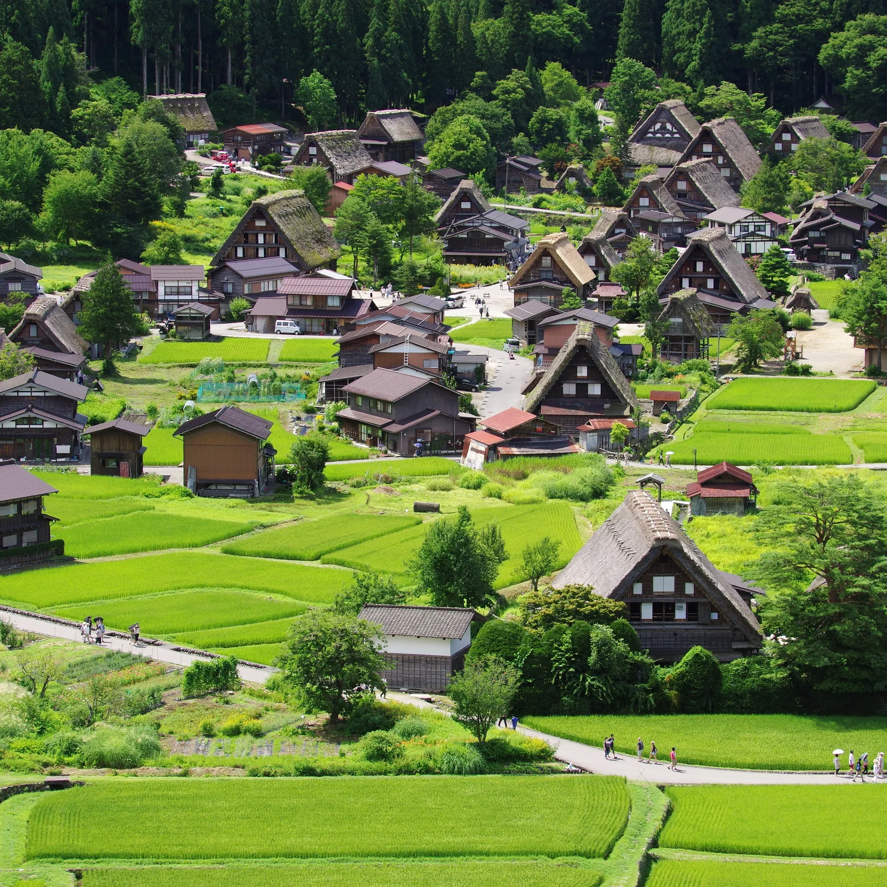 imageShirakawa-go