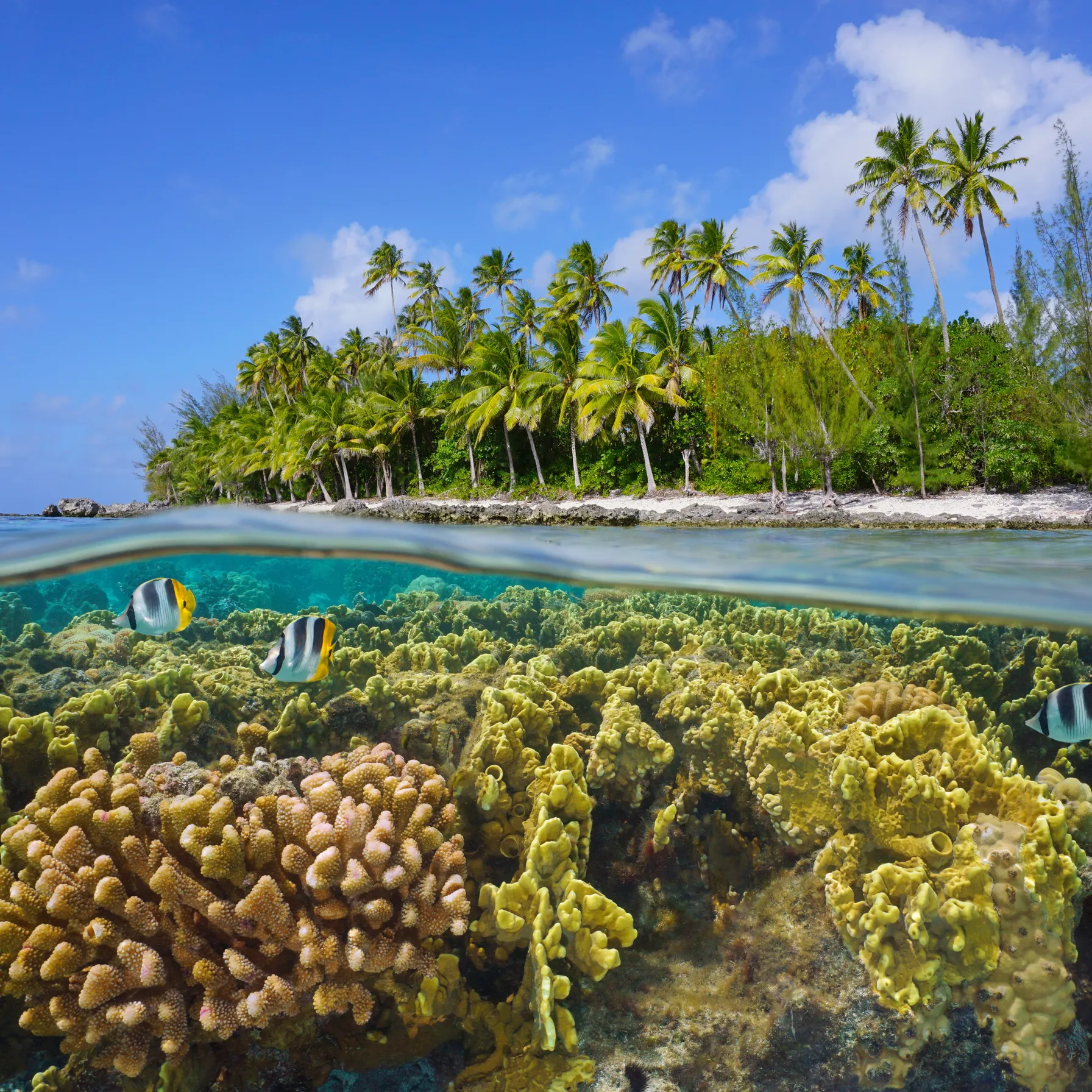 imageHuahine
