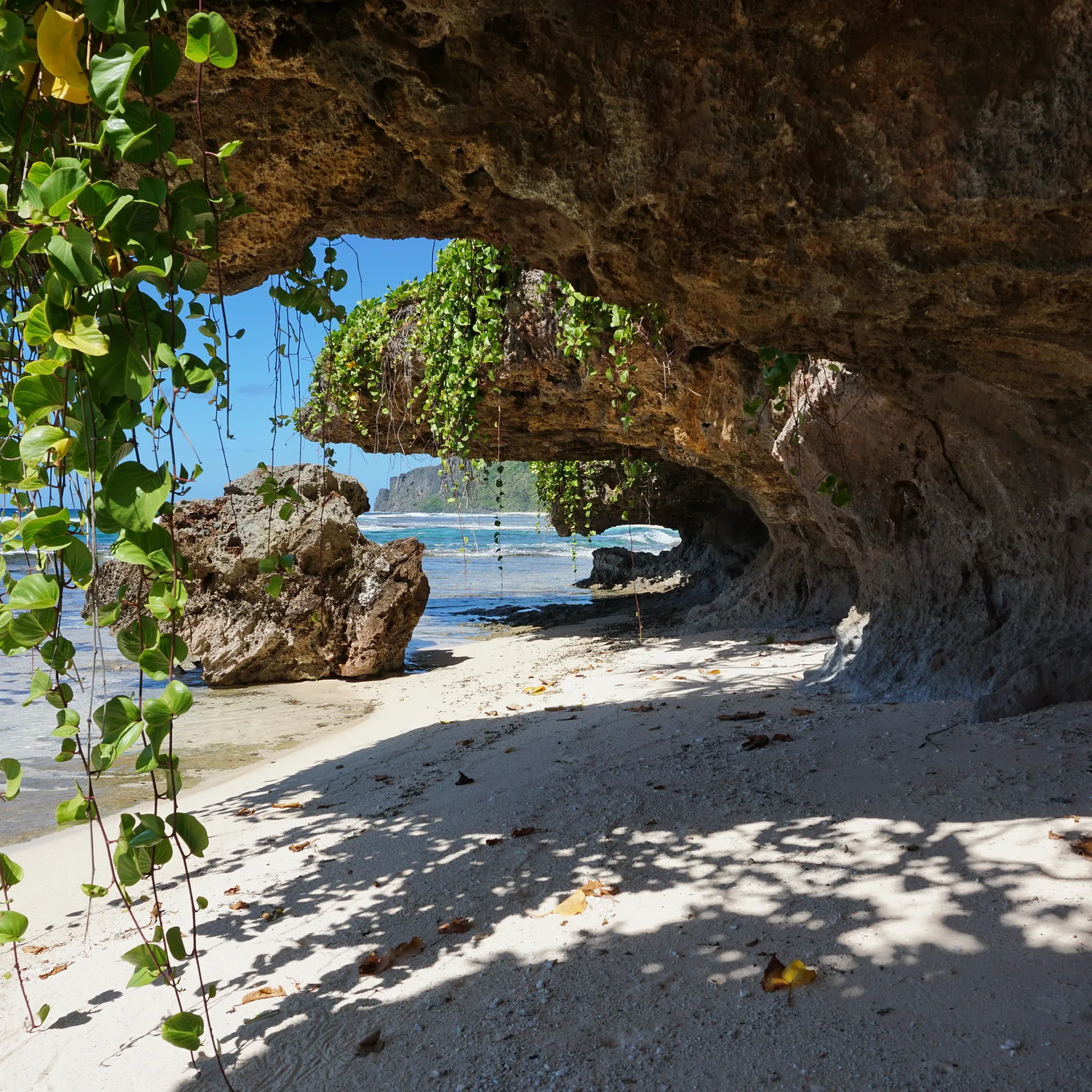 imageAustral Islands
