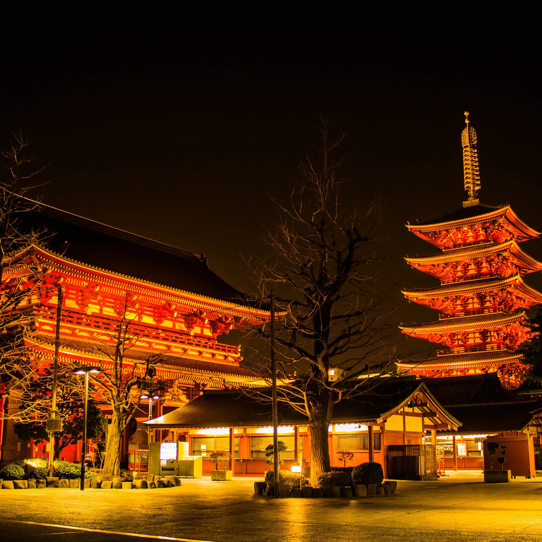 Voyage au cœur du Japon et de la Corée du SudJapon