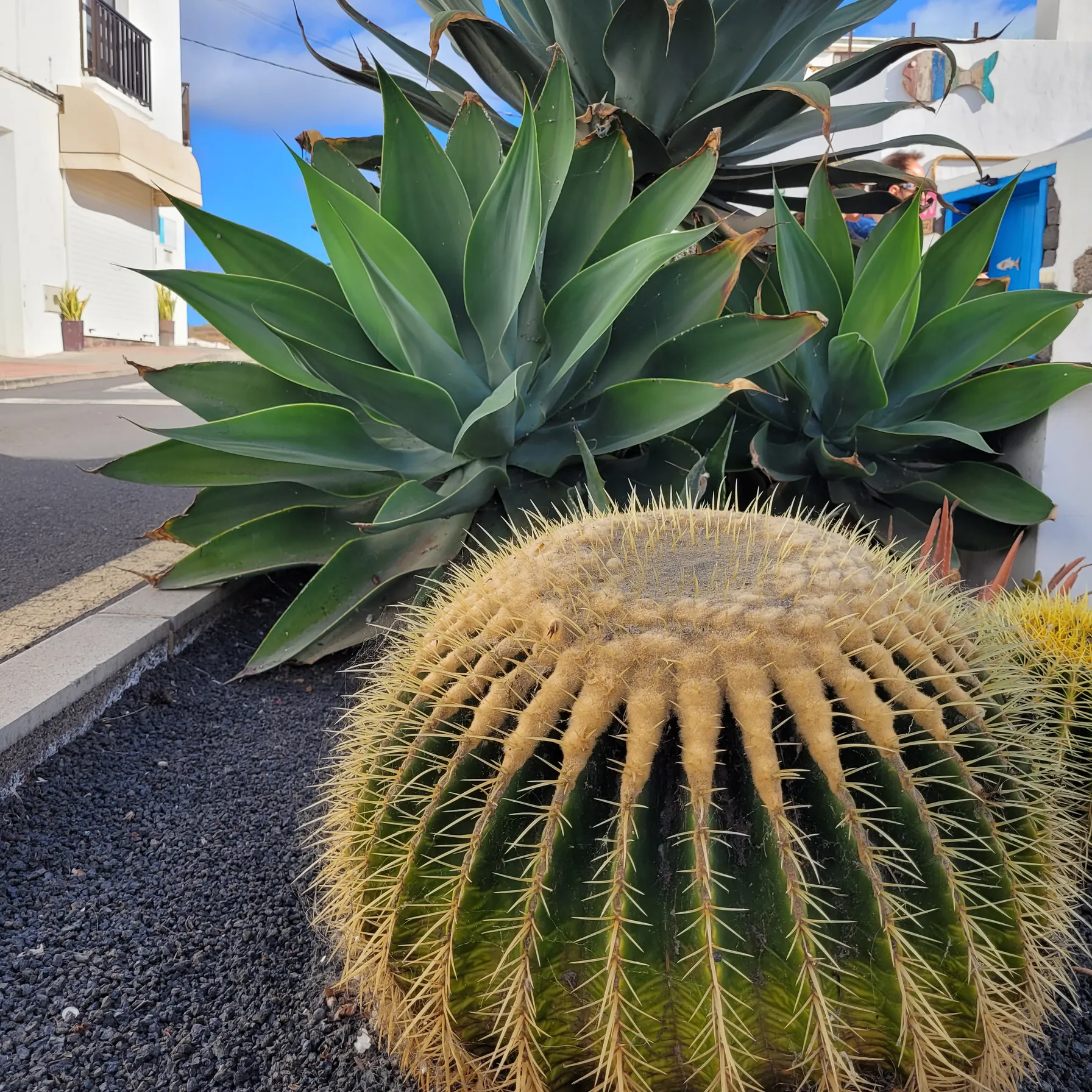 Lanzarote, l’île volcanique qui réveille l’âmeEspagne