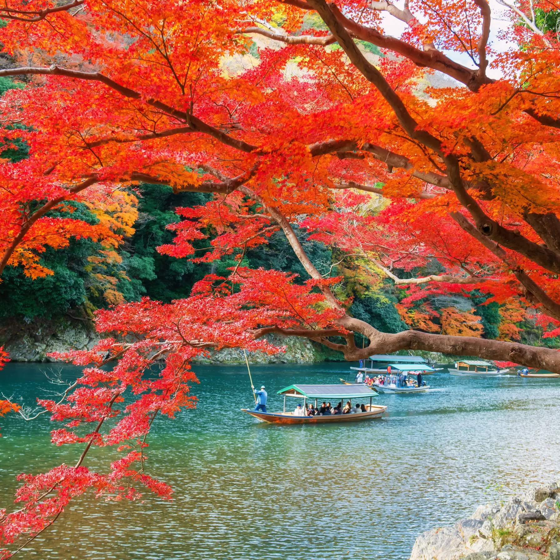 L'essentiel du Japon : du classique à l'exceptionnel.Japon