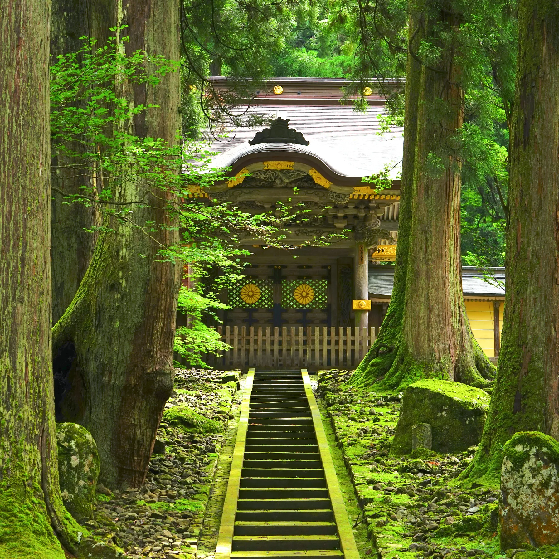 imageFukui