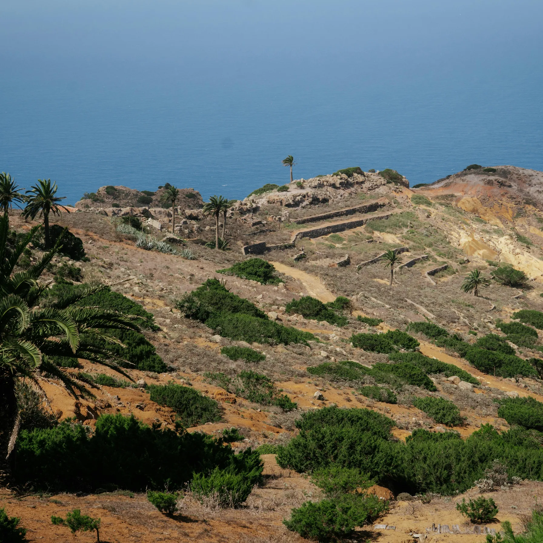 imageGrande Canarie