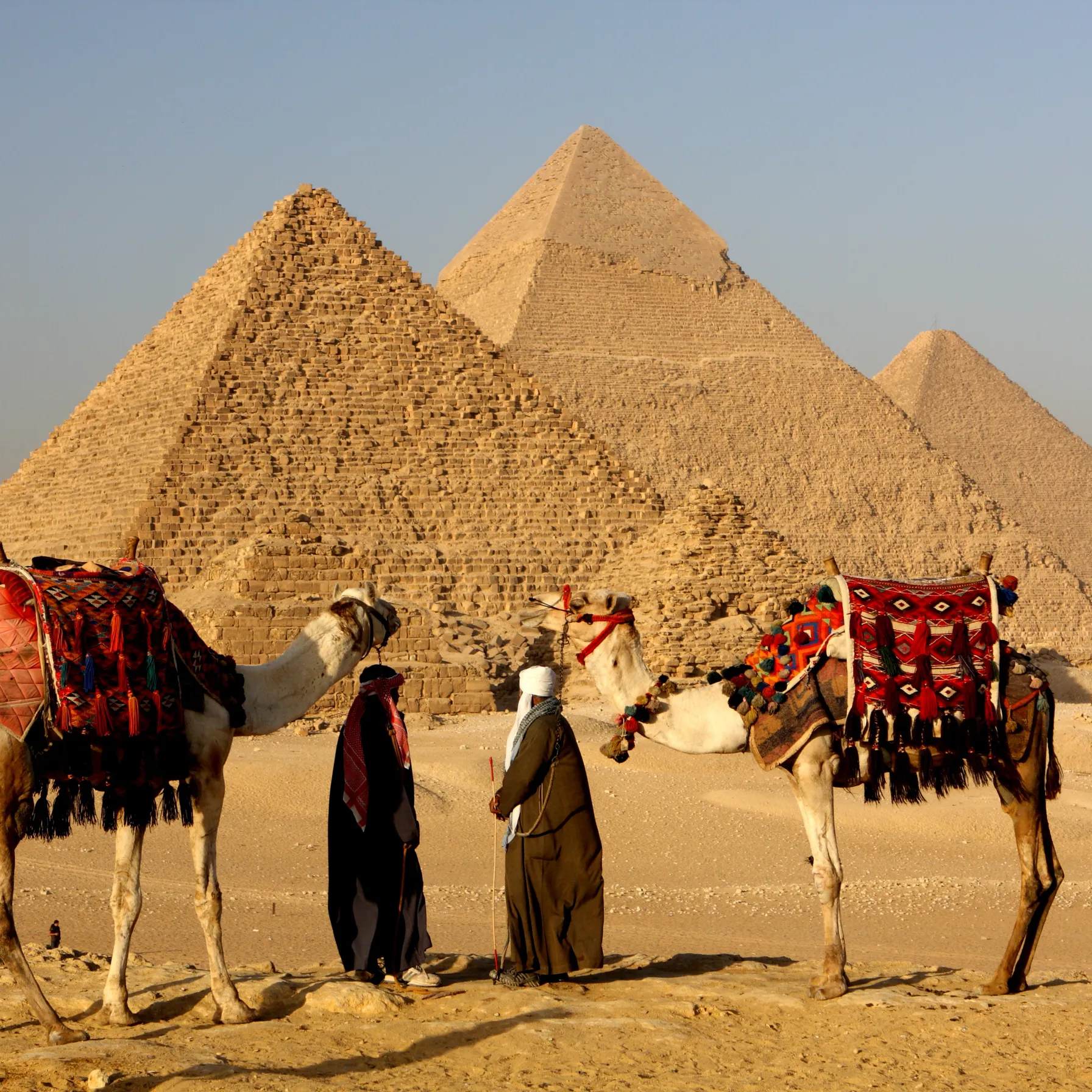 Le Caire millénaire : entre pyramides éternelles et effervescence urbaineEgypte
