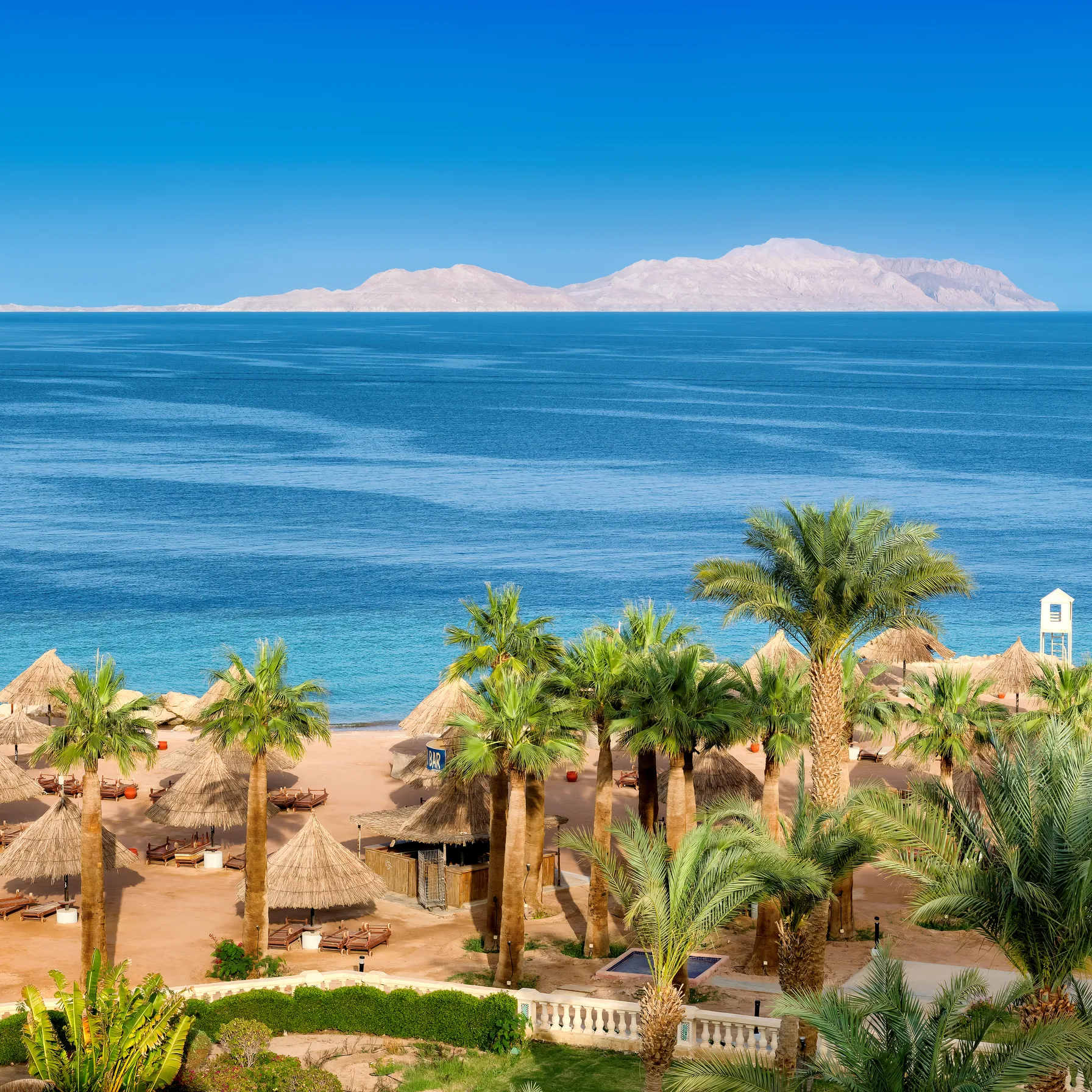Entre mer Rouge et désert du Sinaï : une lune de miel à Sharm El SheikhEgypte