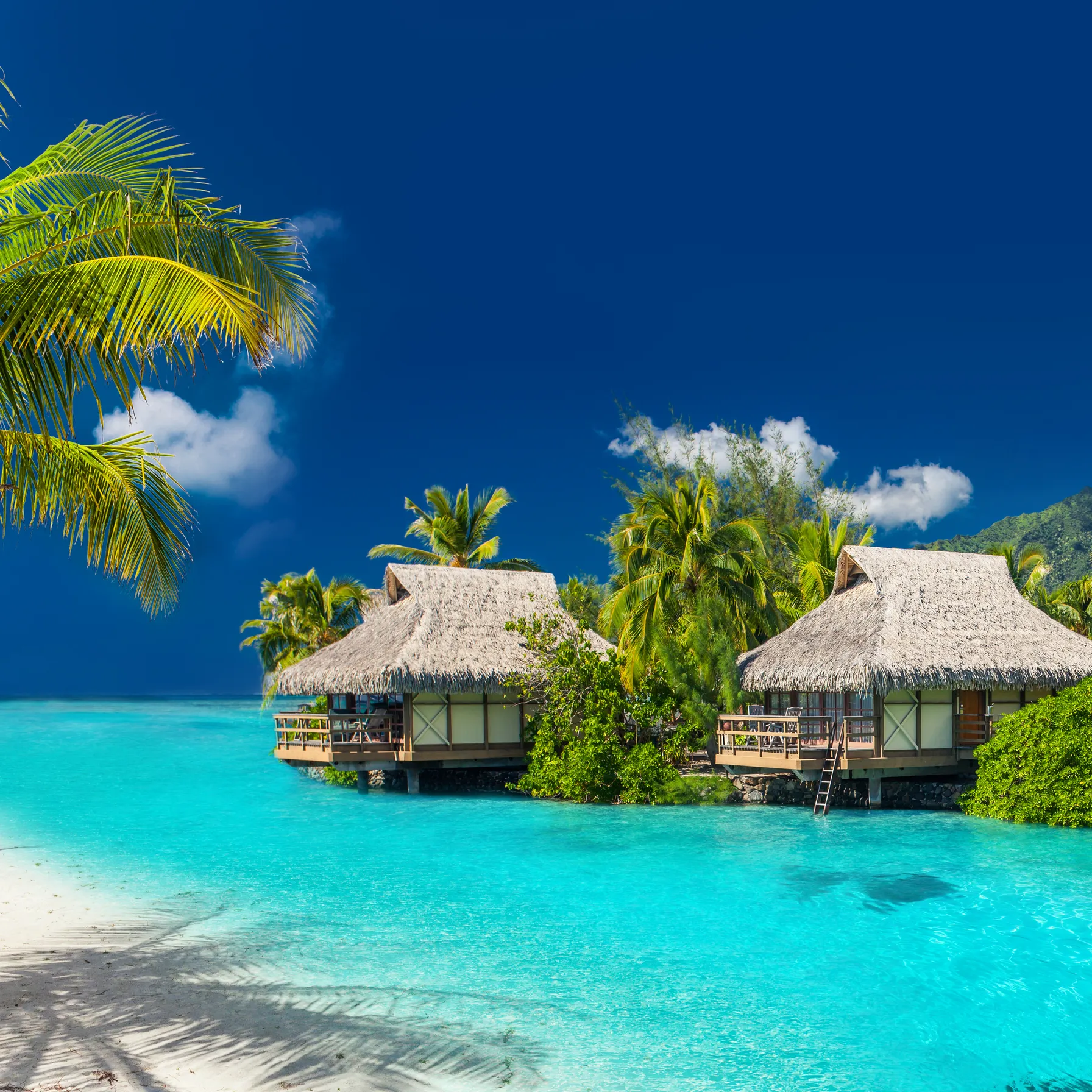 Bora Bora : l'évasion ultime entre lagon émeraude et luxe polynésienPolynésie française