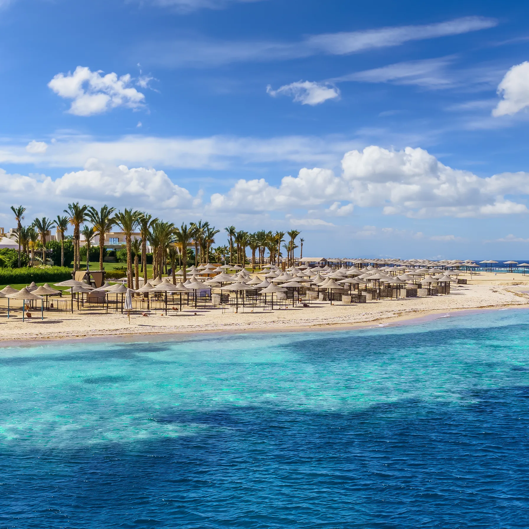 Entre récifs coralliens et trésors pharaoniques : la Mer Rouge autrementEgypte