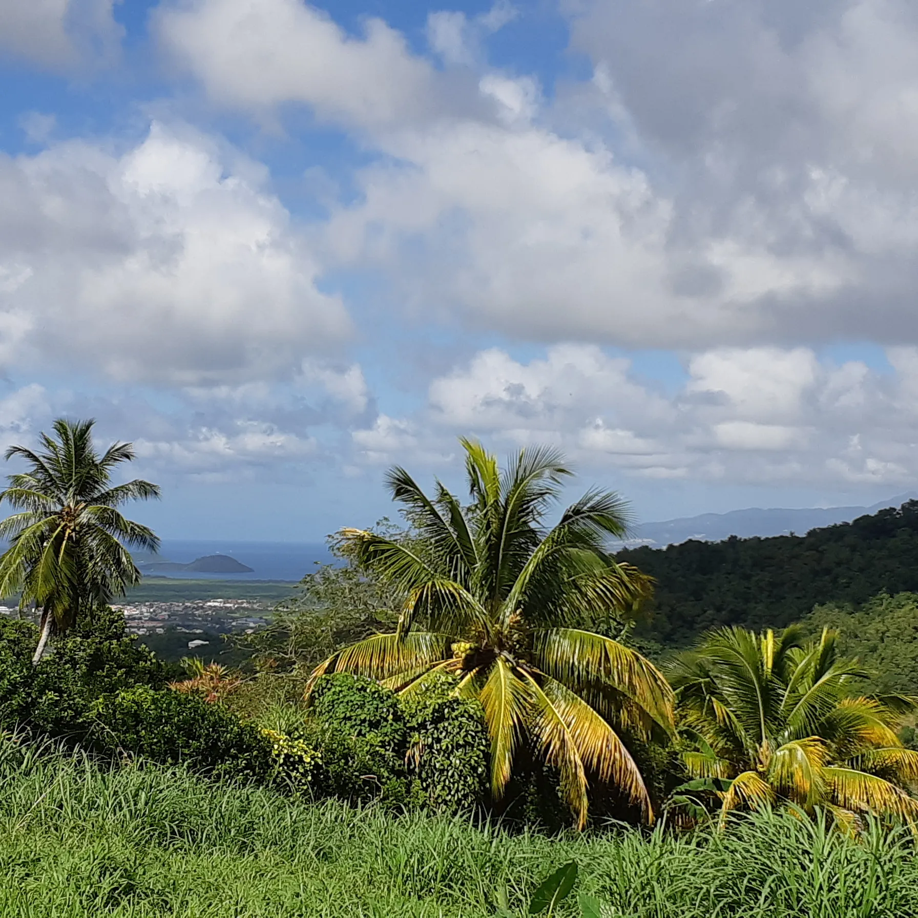 Une semaine de rêve en MartiniqueMartinique