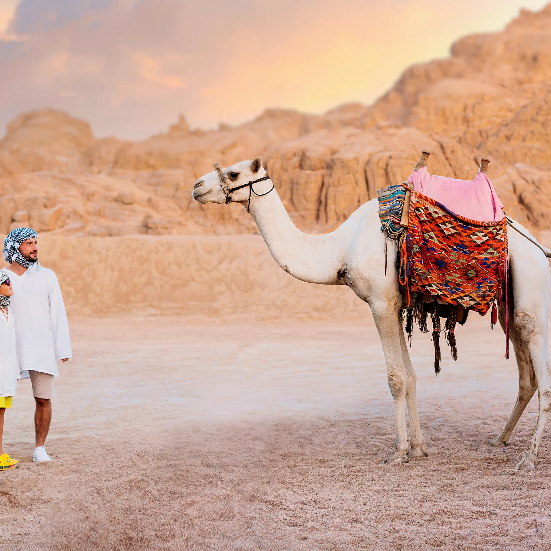 L'Égypte en famille : des pharaons à la mer Rouge, version grand luxeEgypte