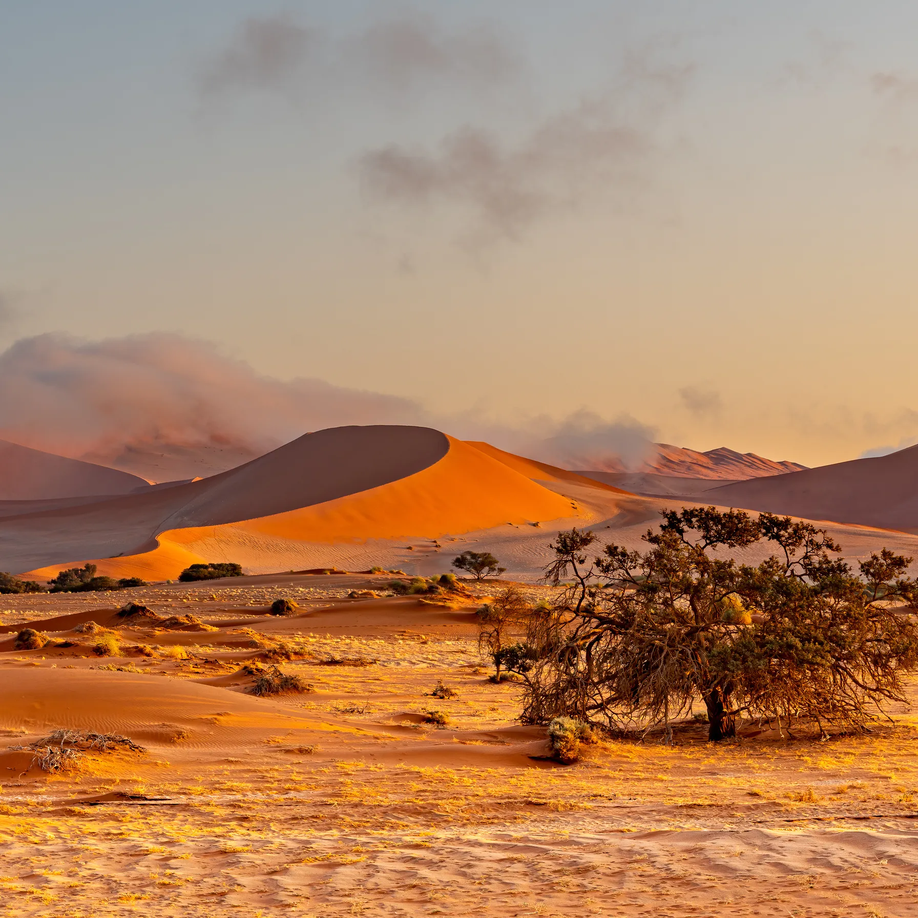 Namibie en rooftop tent : road trip sauvage entre déserts, faune et Skeleton CoastNamibie