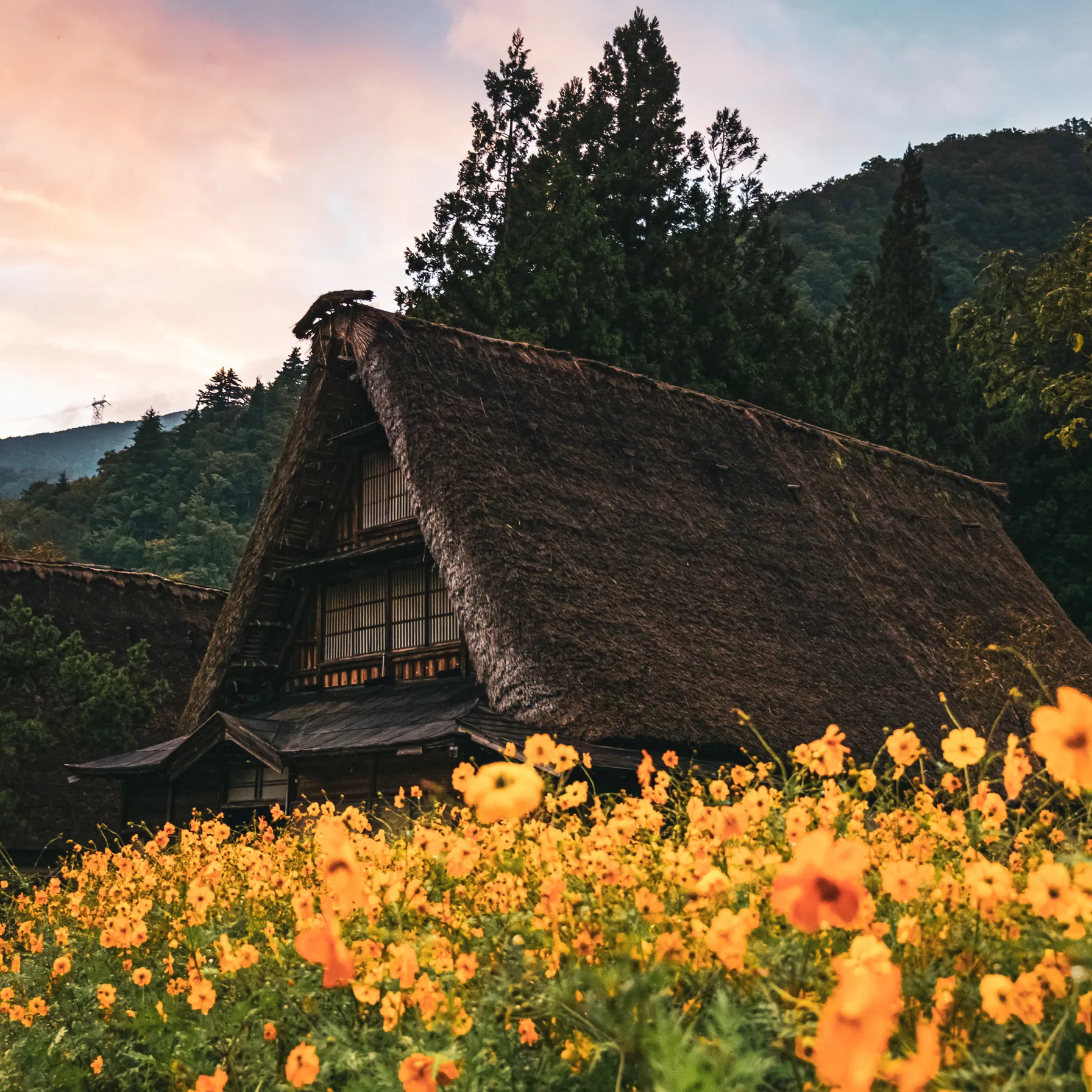Dans les Alpes japonaises : Takayama et le Japon authentique en version premiumJapon
