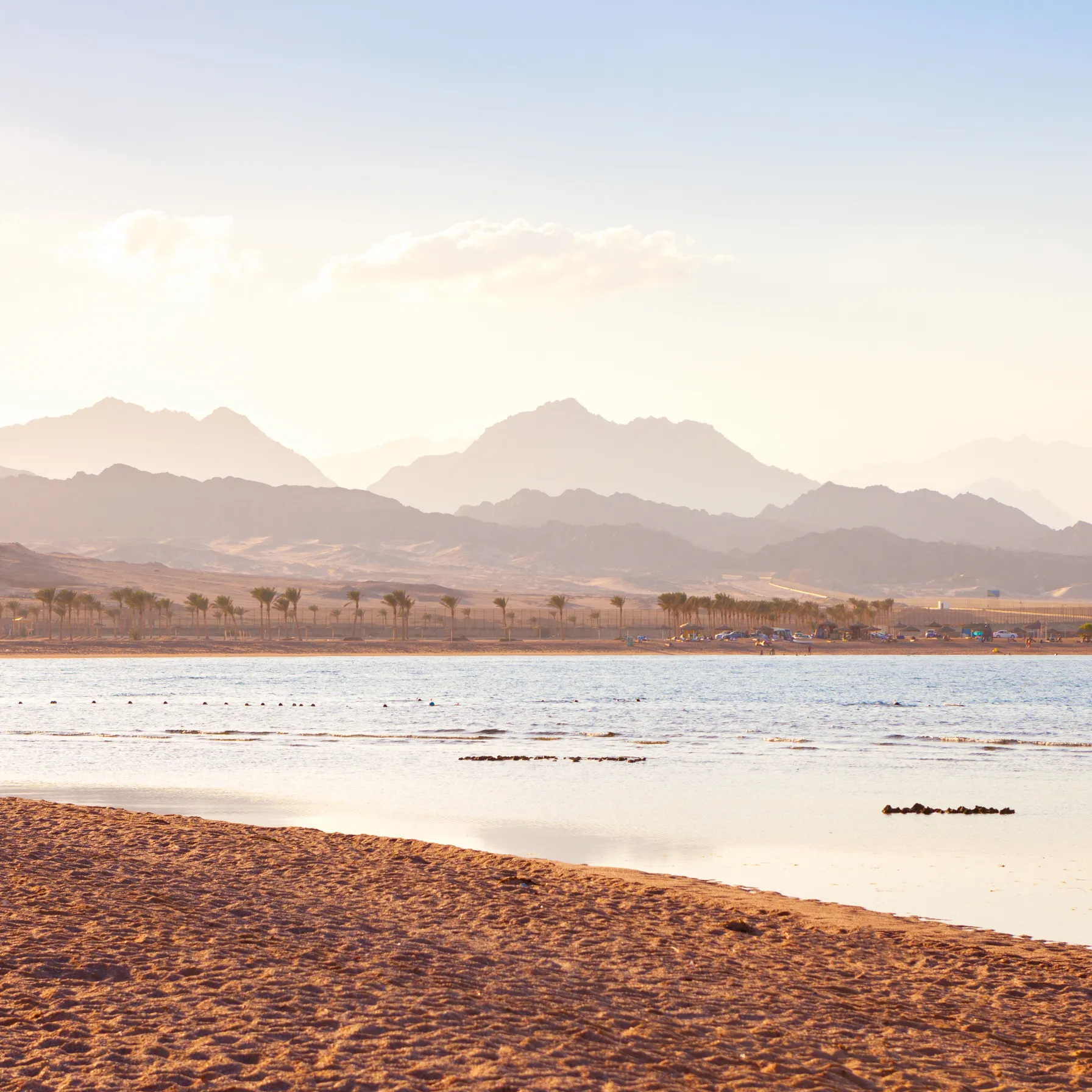 Vents du Sinaï : kitesurf et luxe au cœur de la mer RougeEgypte