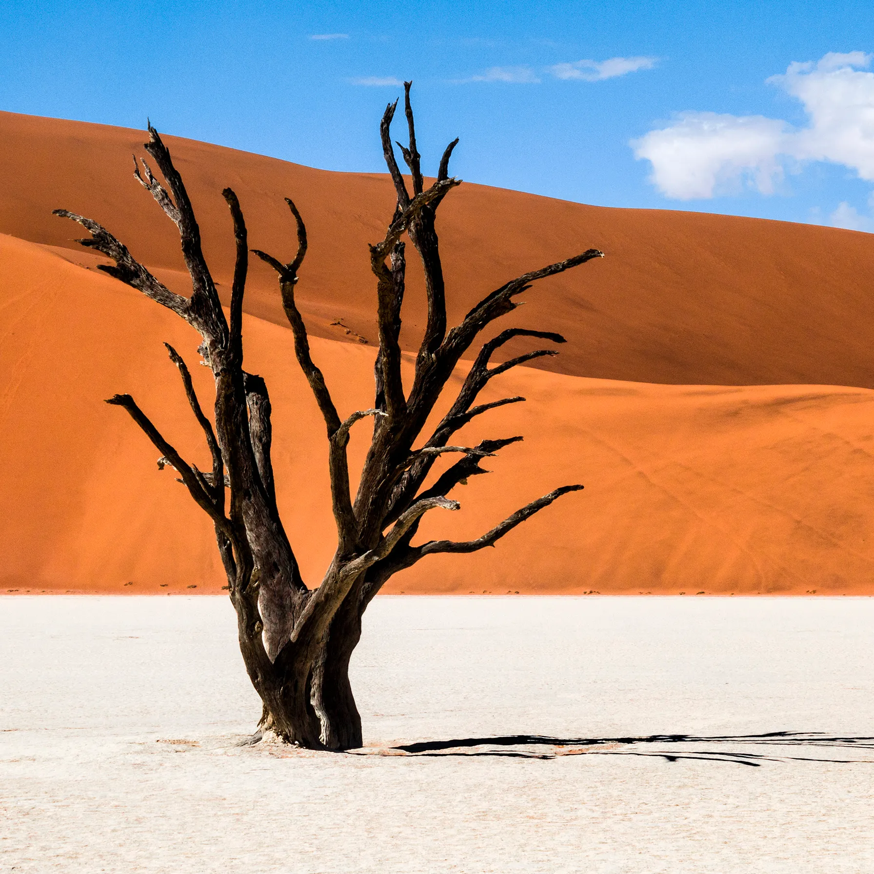 Namibie : des contrastes saisissants !Namibie