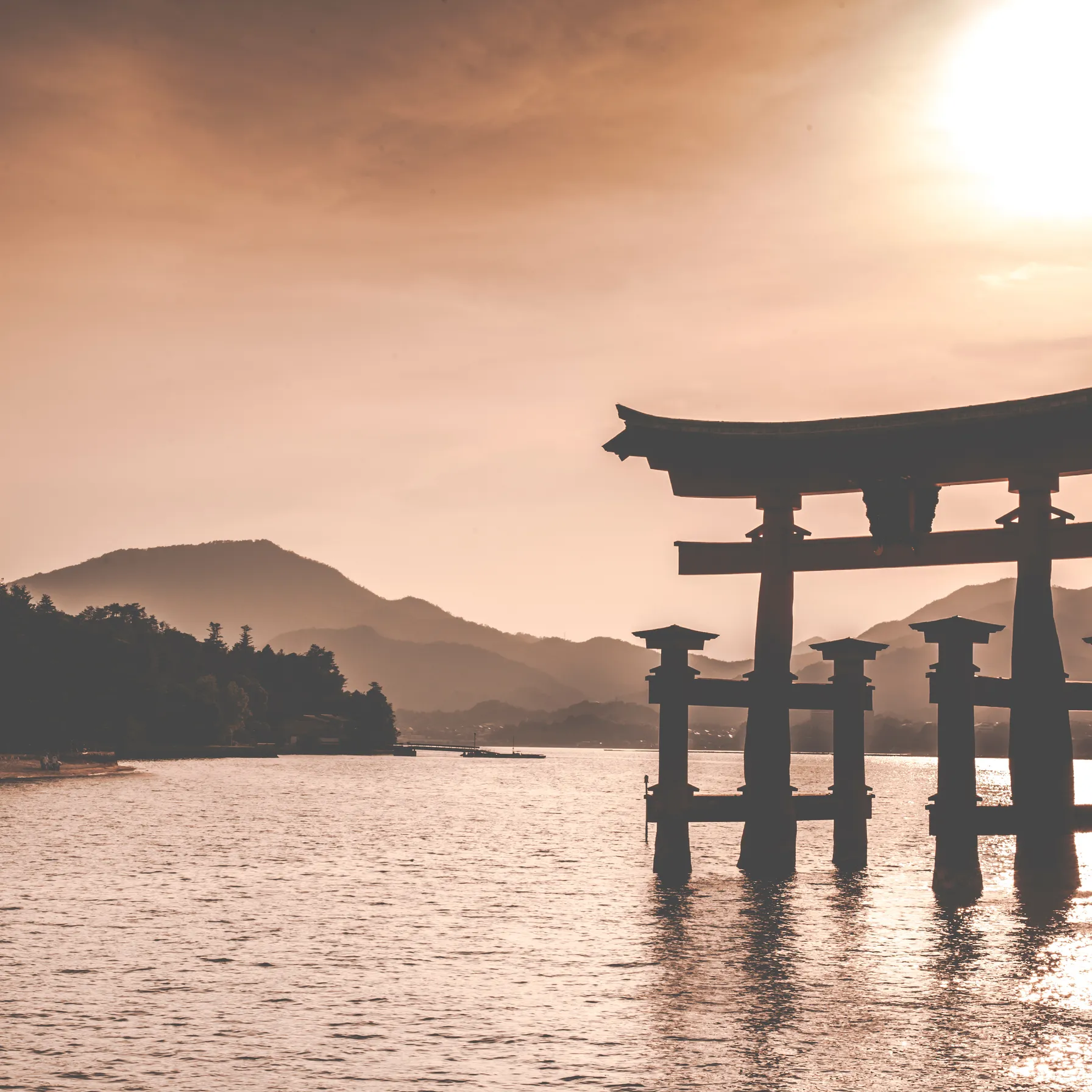 Hiroshima et Miyajima : un voyage au Japon entre mémoire et sérénitéJapon