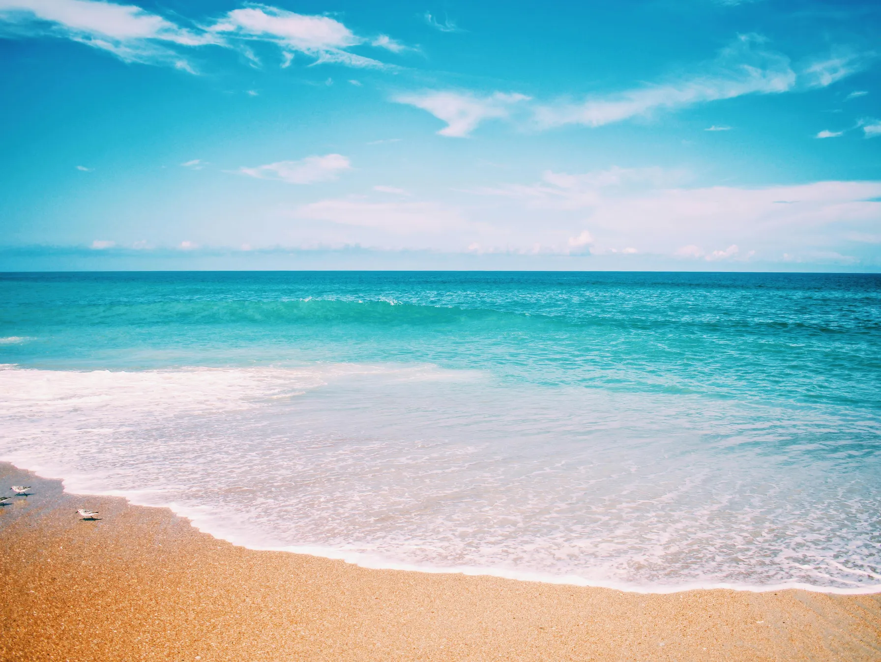 Travel with peace of mind