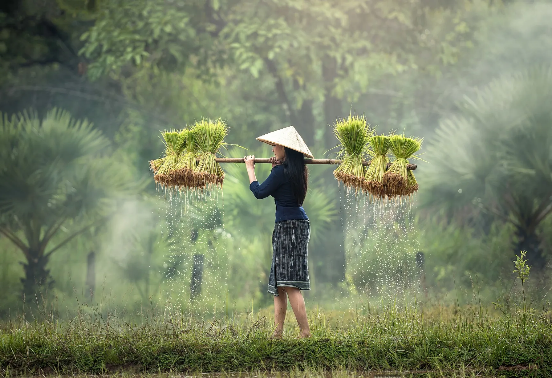 Image When to go to Vietnam