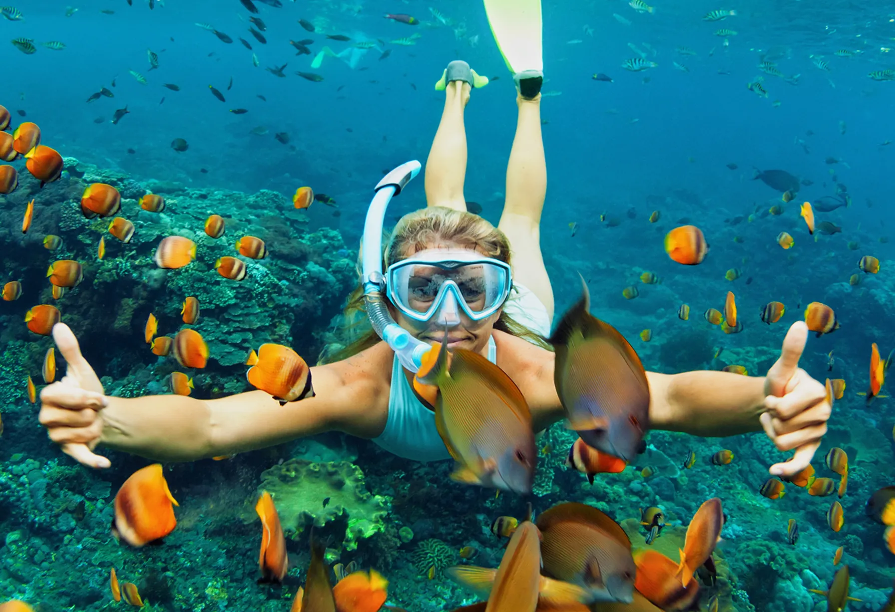 Image Top 5 Most Beautiful Snorkeling Spots in the World