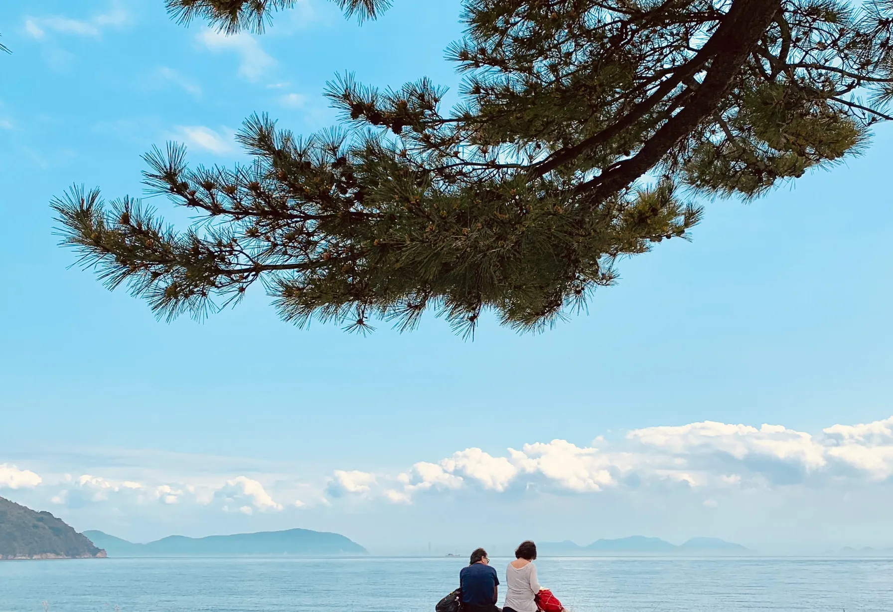 Image Japan: 4 Unique Sensory Experiences Not to Miss