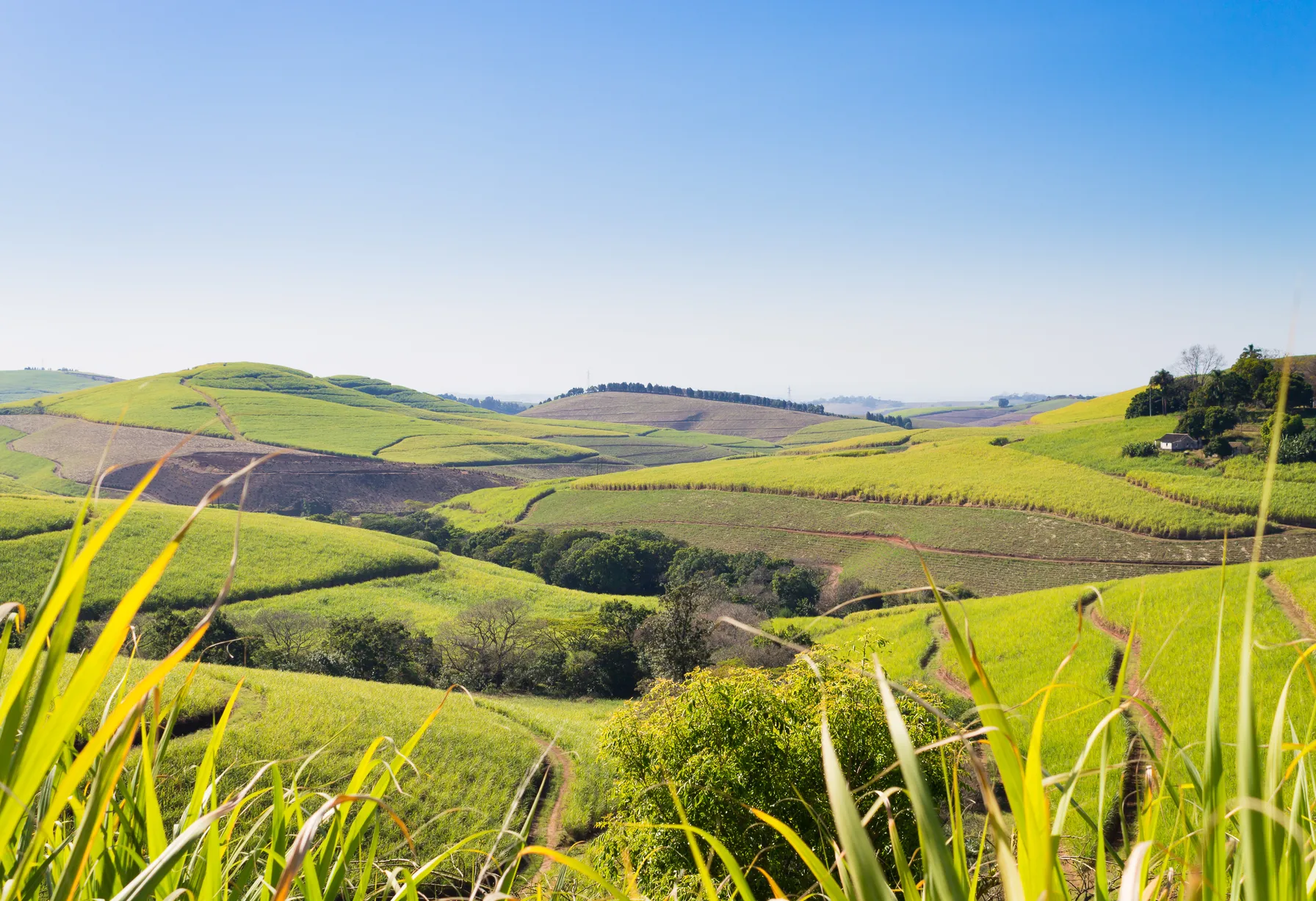 Image Afrique du Sud en juin