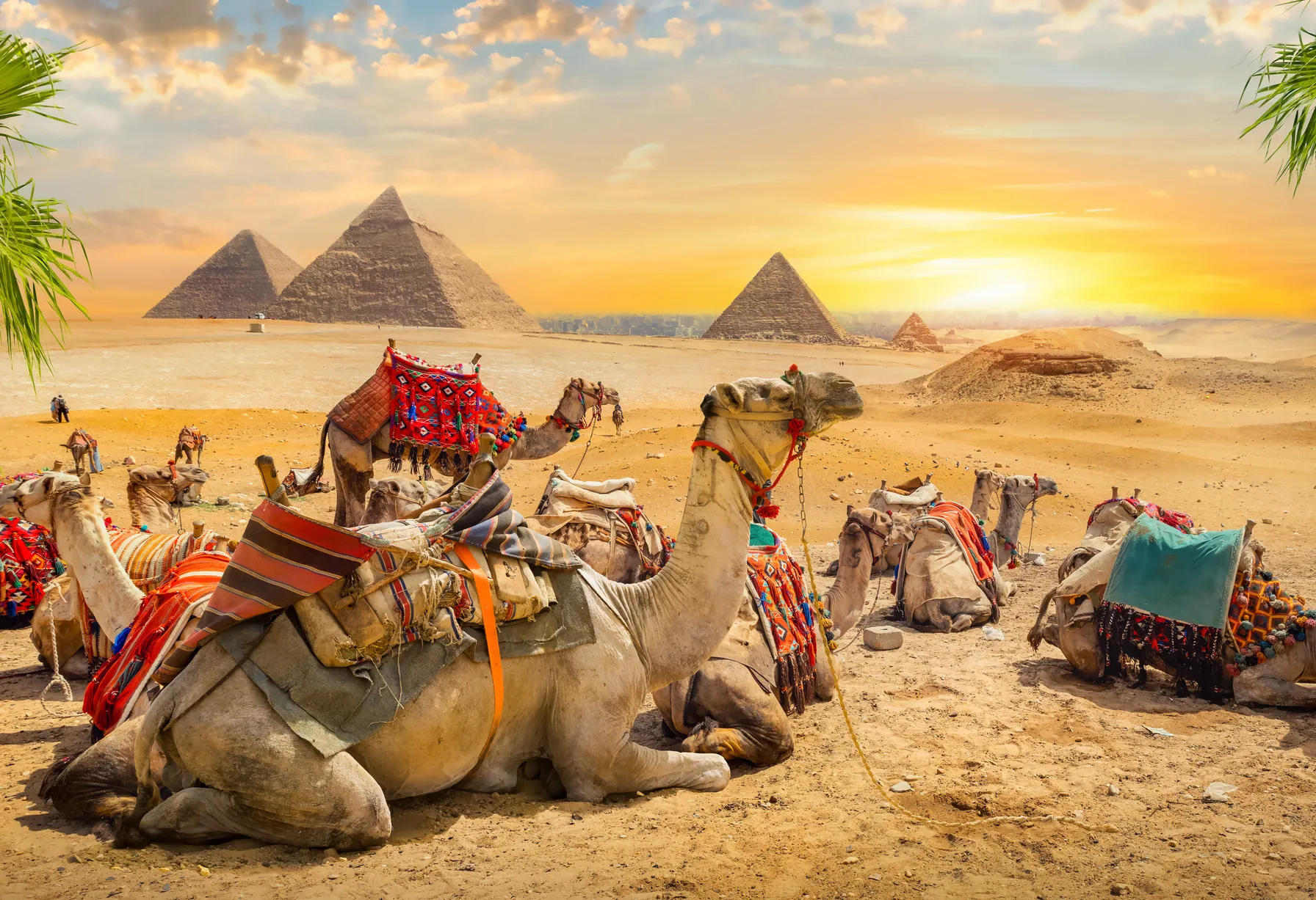 Image Activities in Cairo