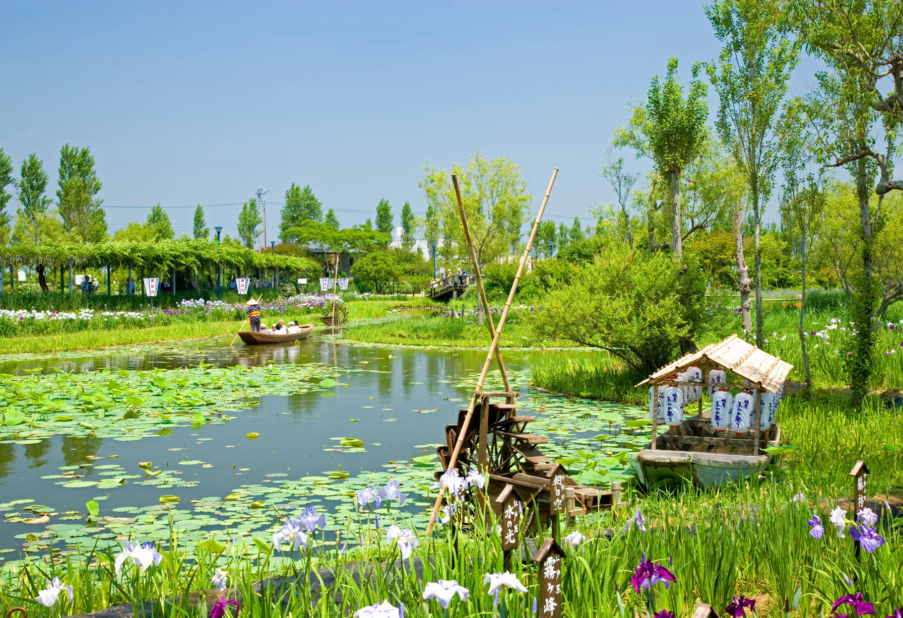 Image Japon en juin
