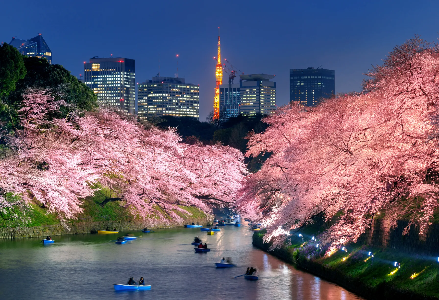 Image Tokyo in April