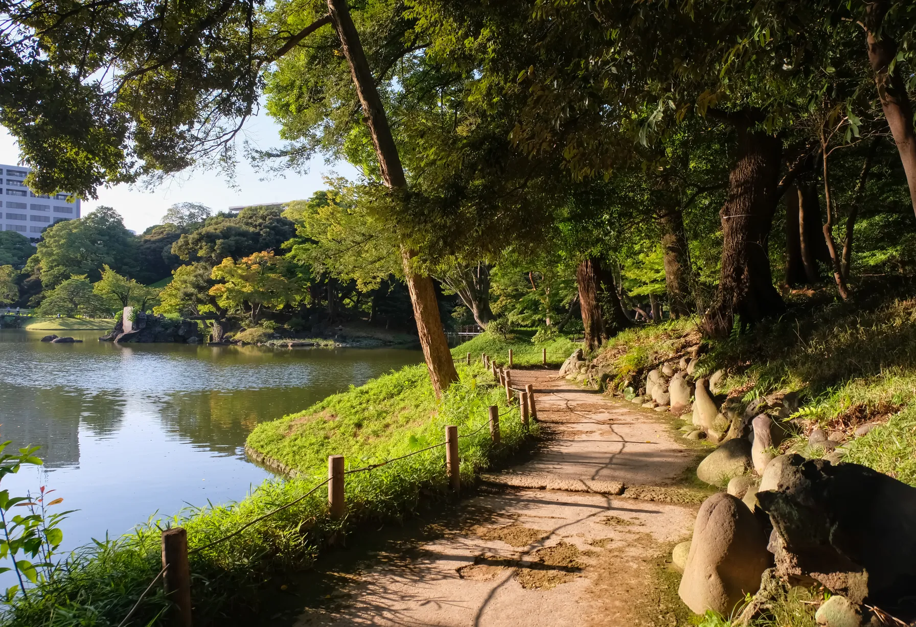 Image Tokyo in September