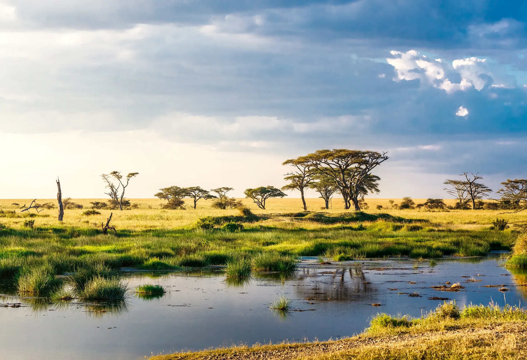 Image Tanzanie en mars