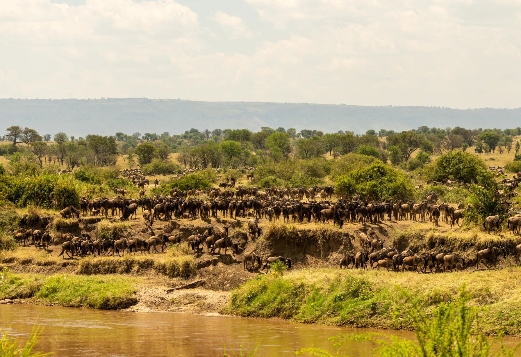 Image Tanzania in November
