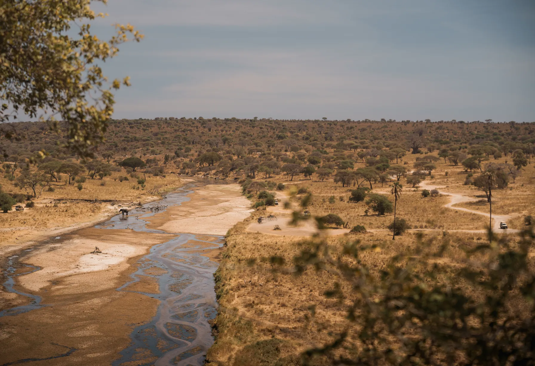 Image Tanzanie en septembre