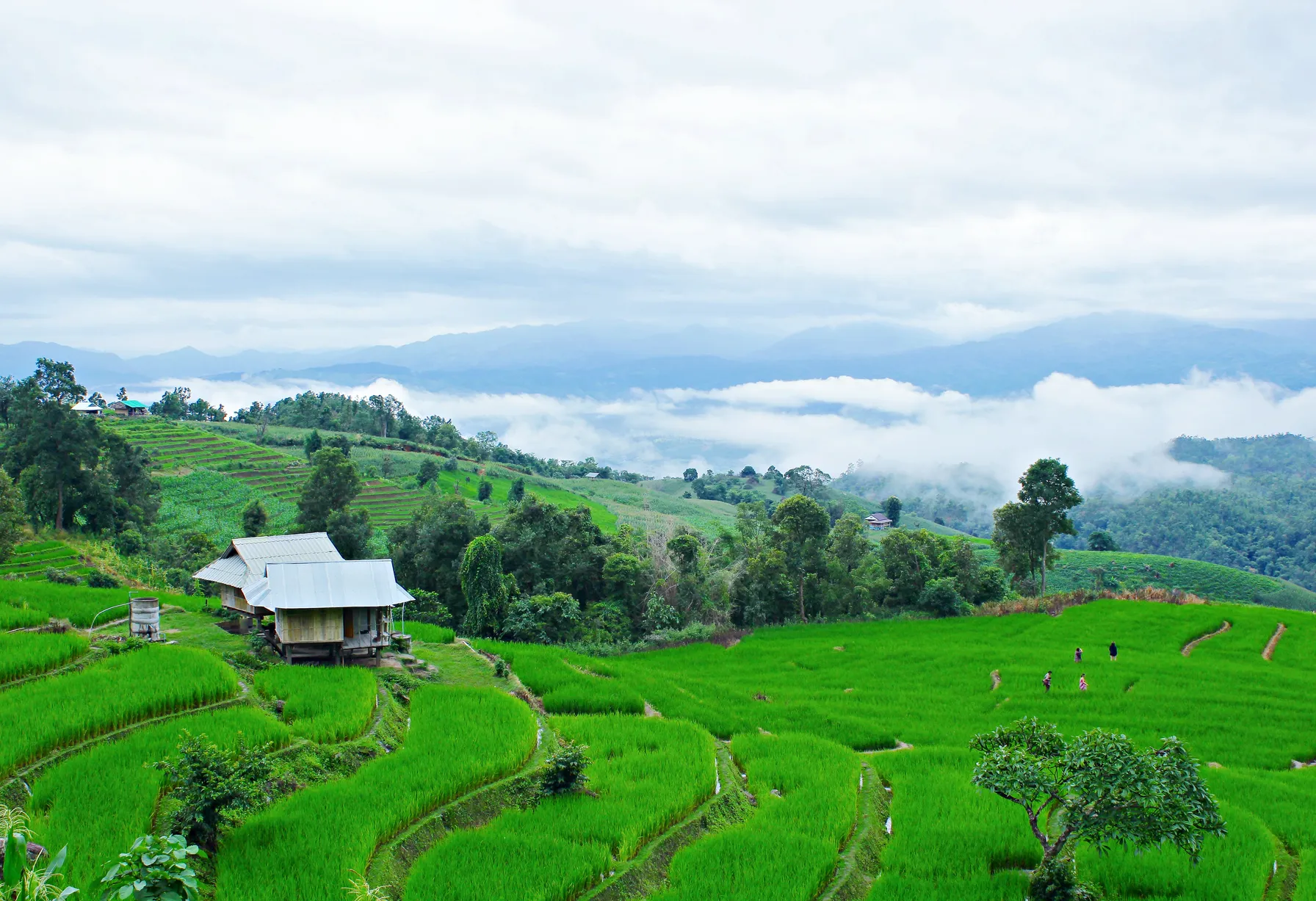 Image Thaïlande en juillet