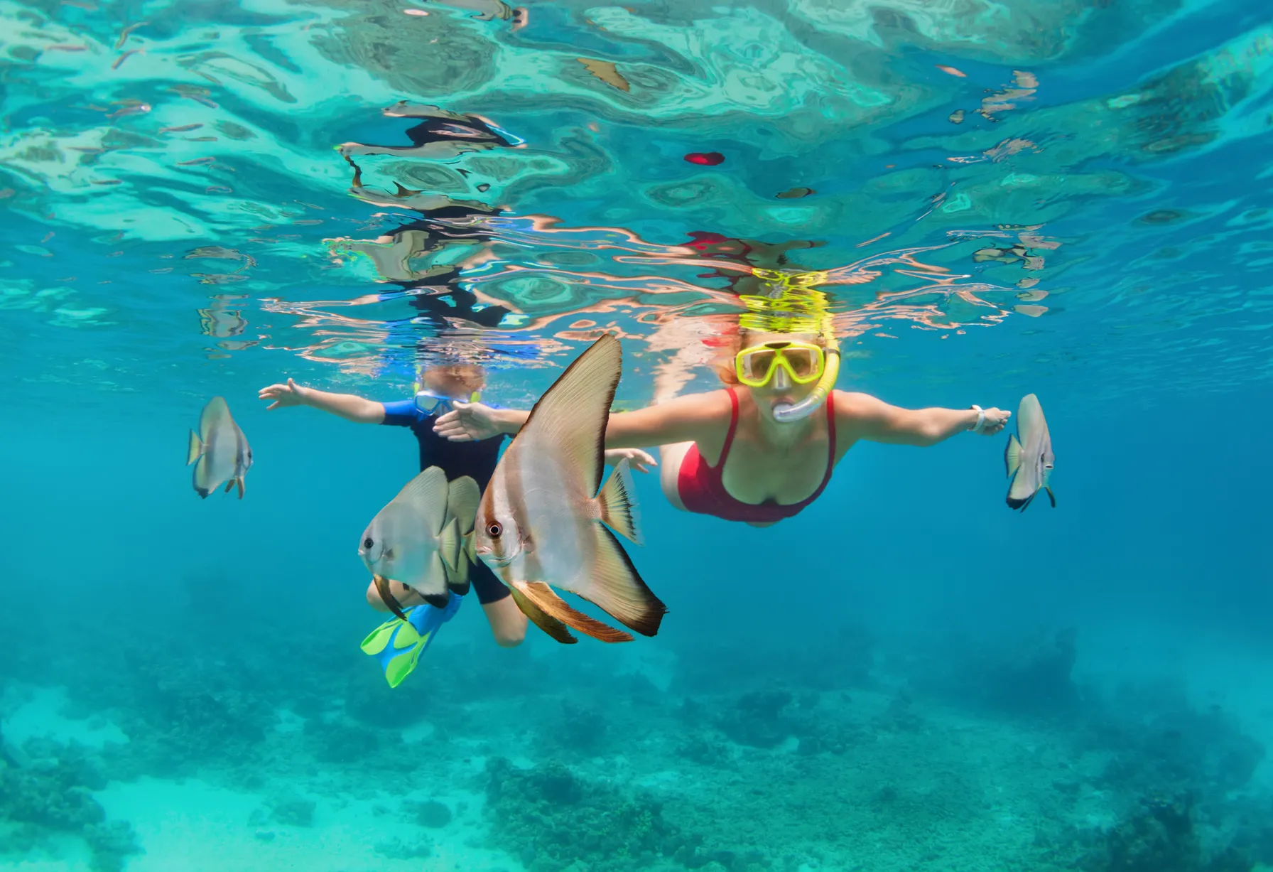 Image Activités à Phuket