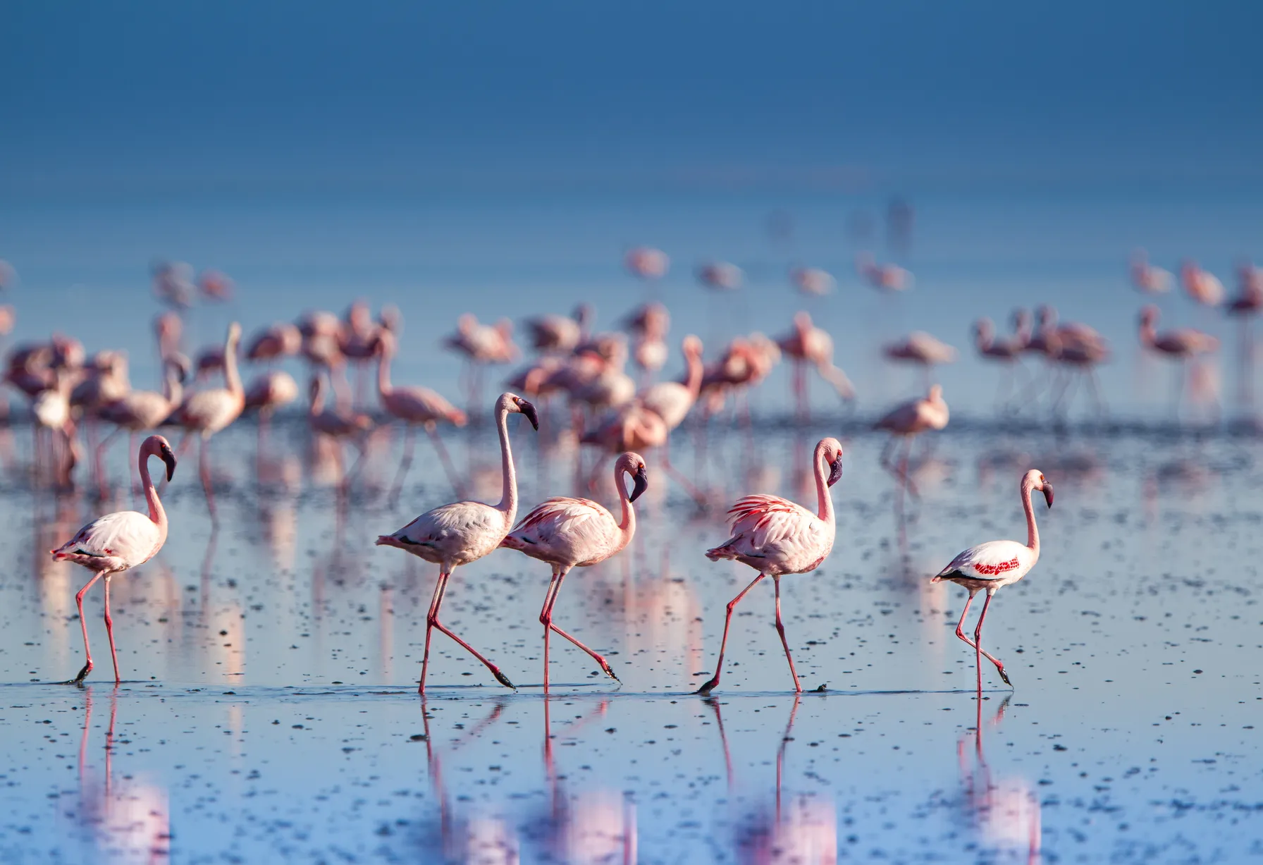 Image Tanzania in April