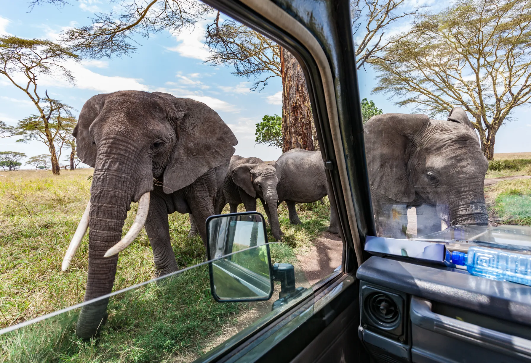 Image What to do in Tanzania