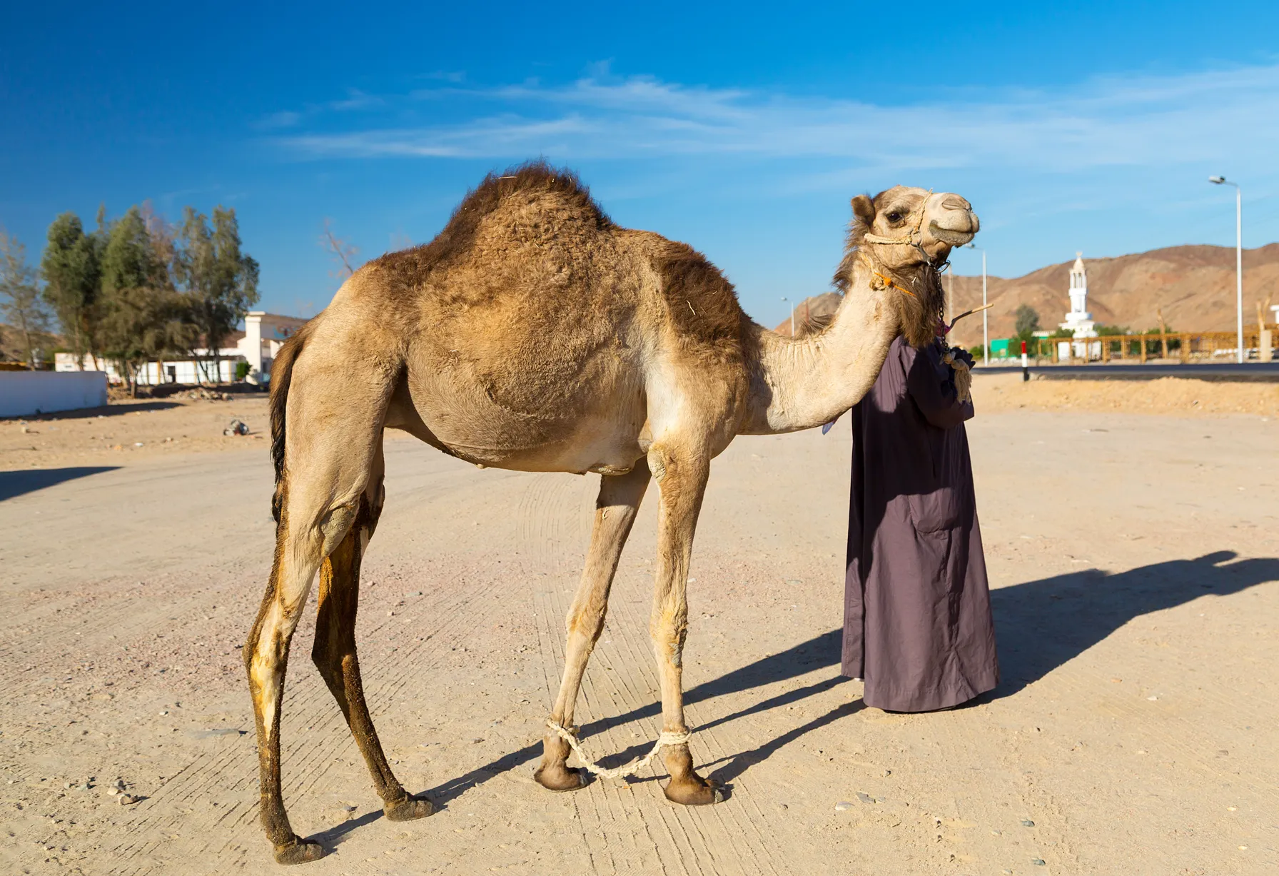 Image Hurghada en février