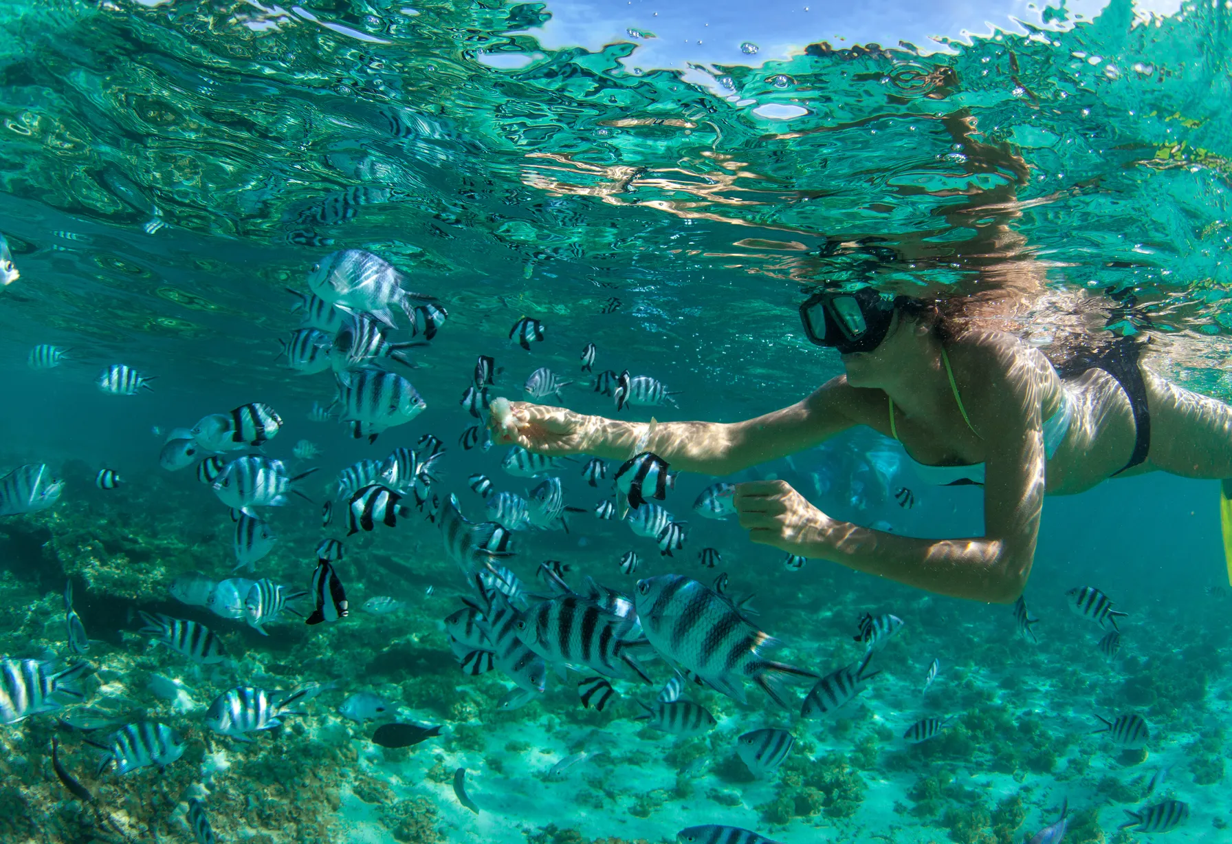 Image Ile Maurice en octobre