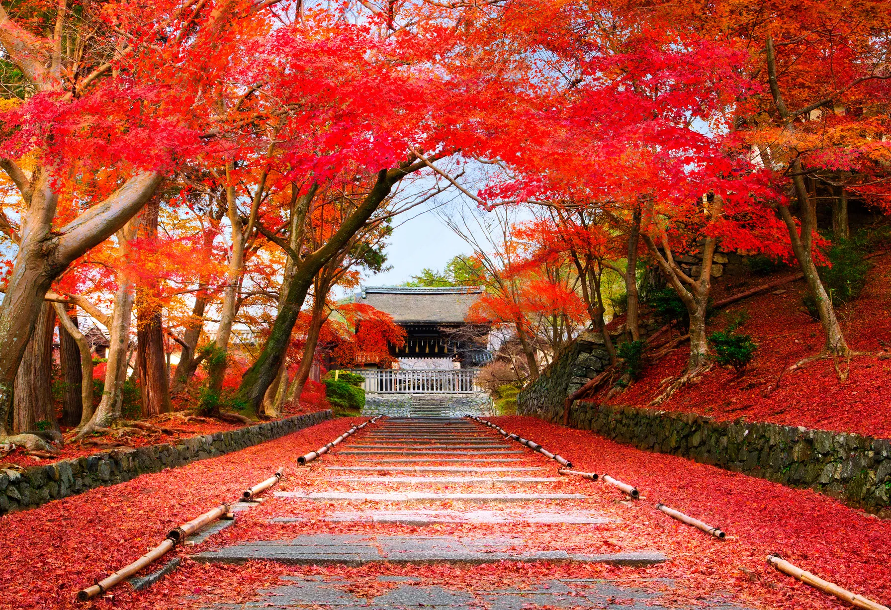 Image Kyoto in October