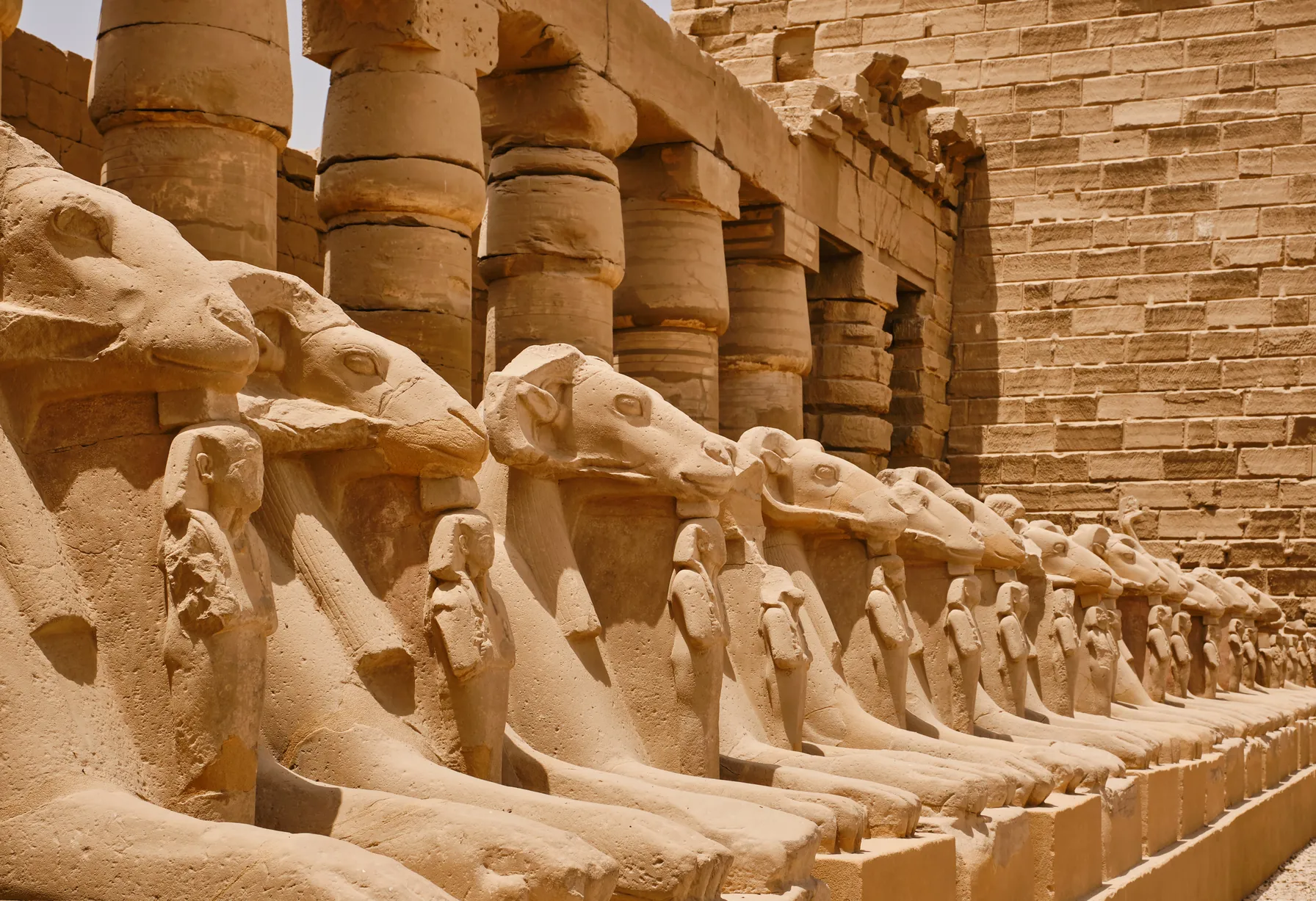 Image Egypt in August
