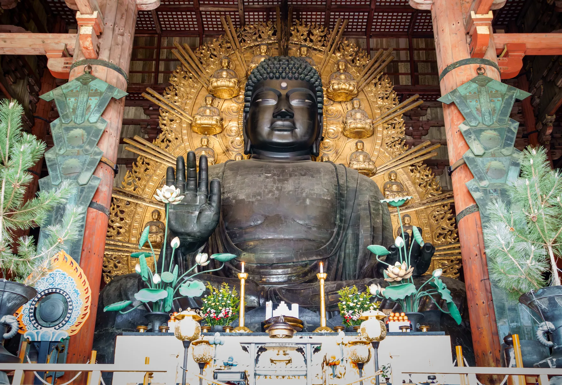 Image Que faire à Nara
