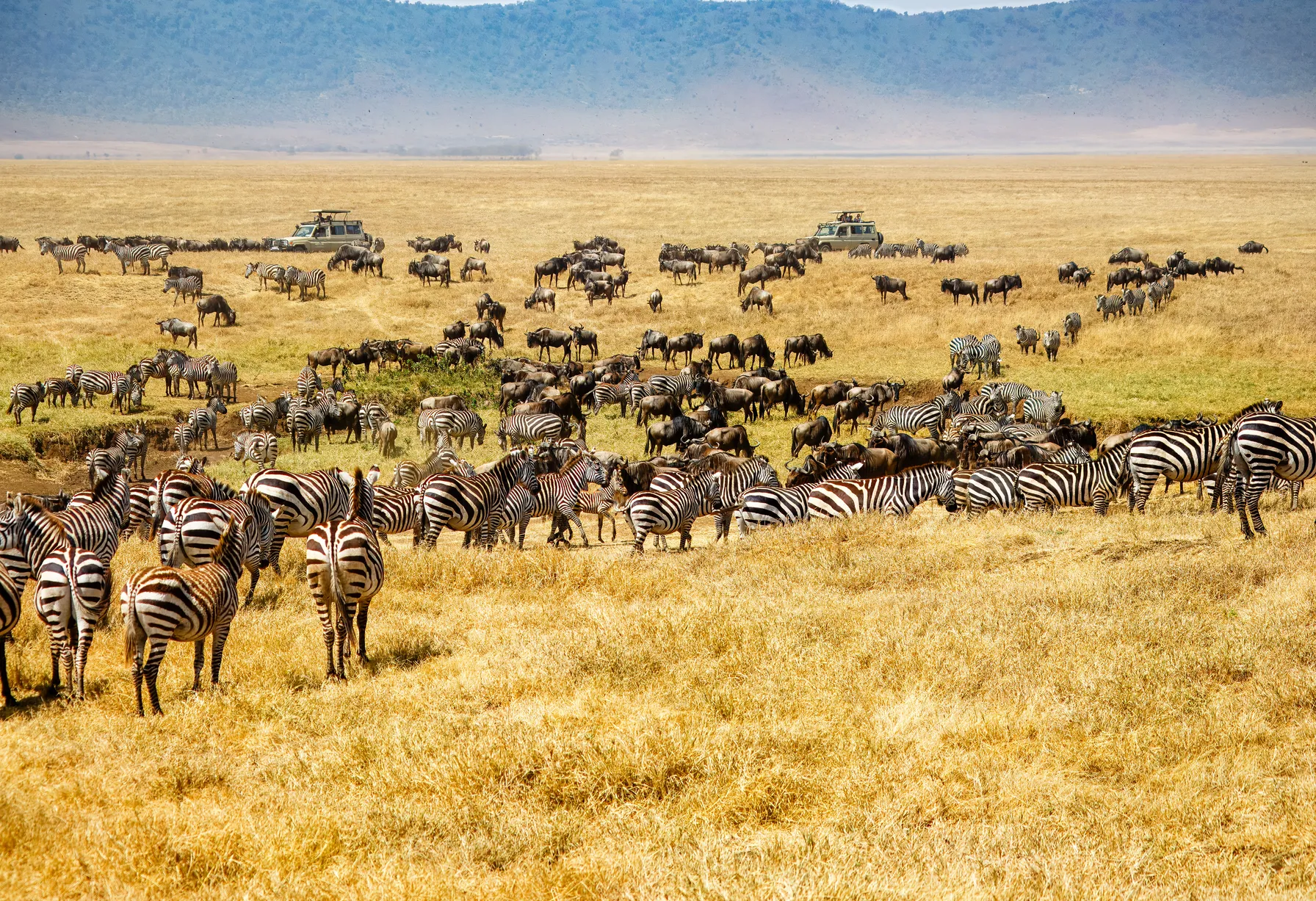 Image When to go to Tanzania